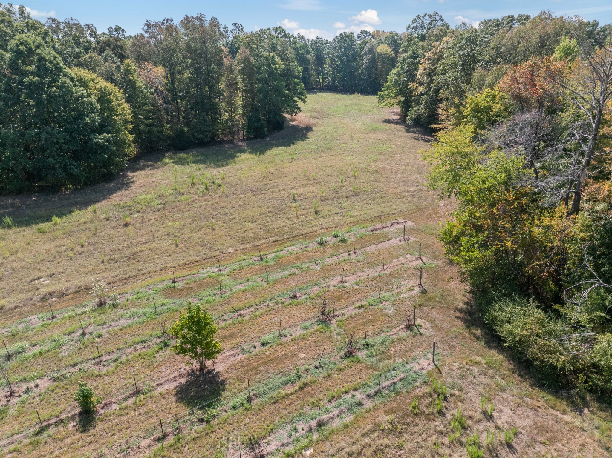 3379 Old Stage Rd Property Photo 49