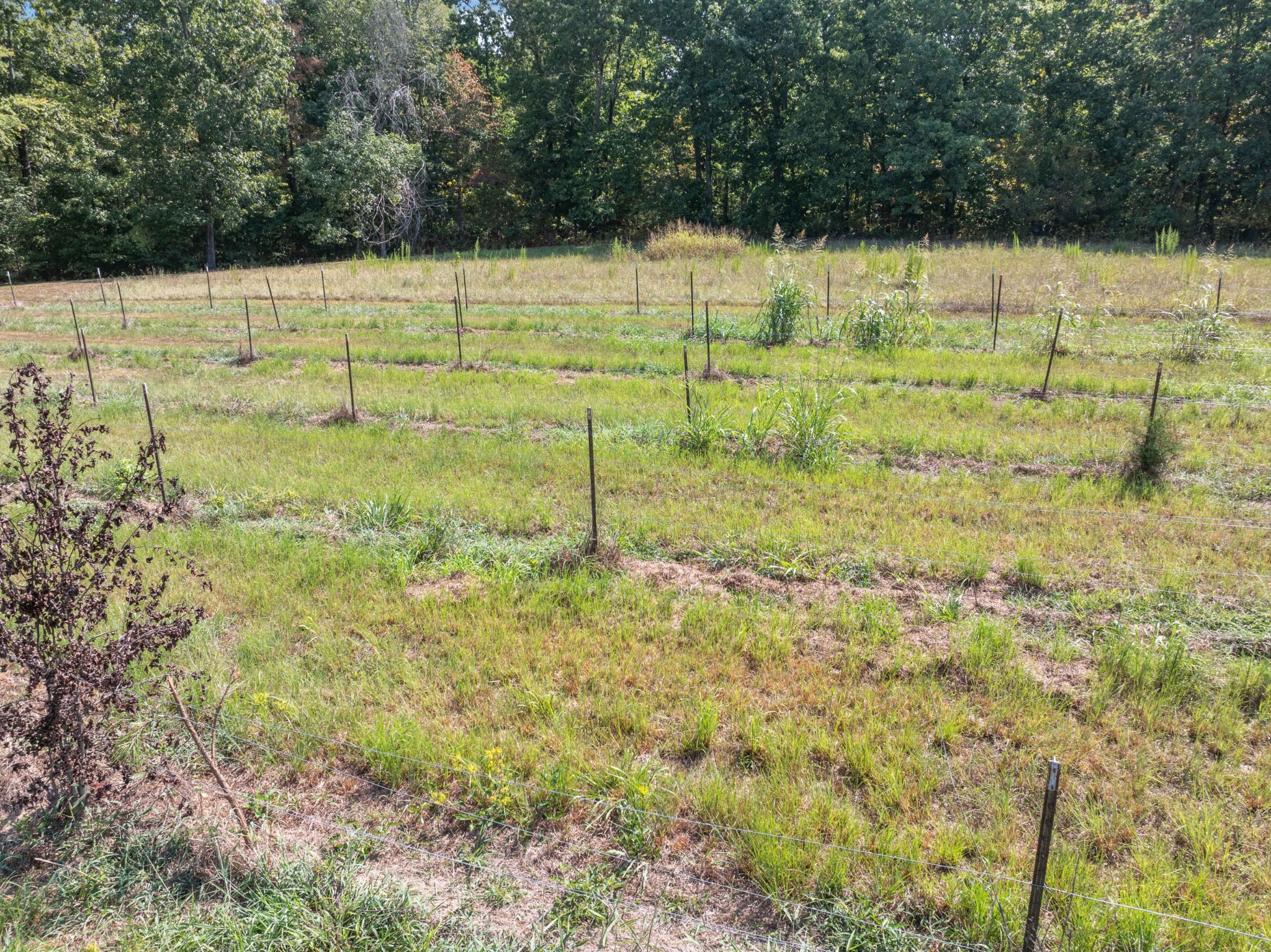 3379 Old Stage Rd Property Photo 50