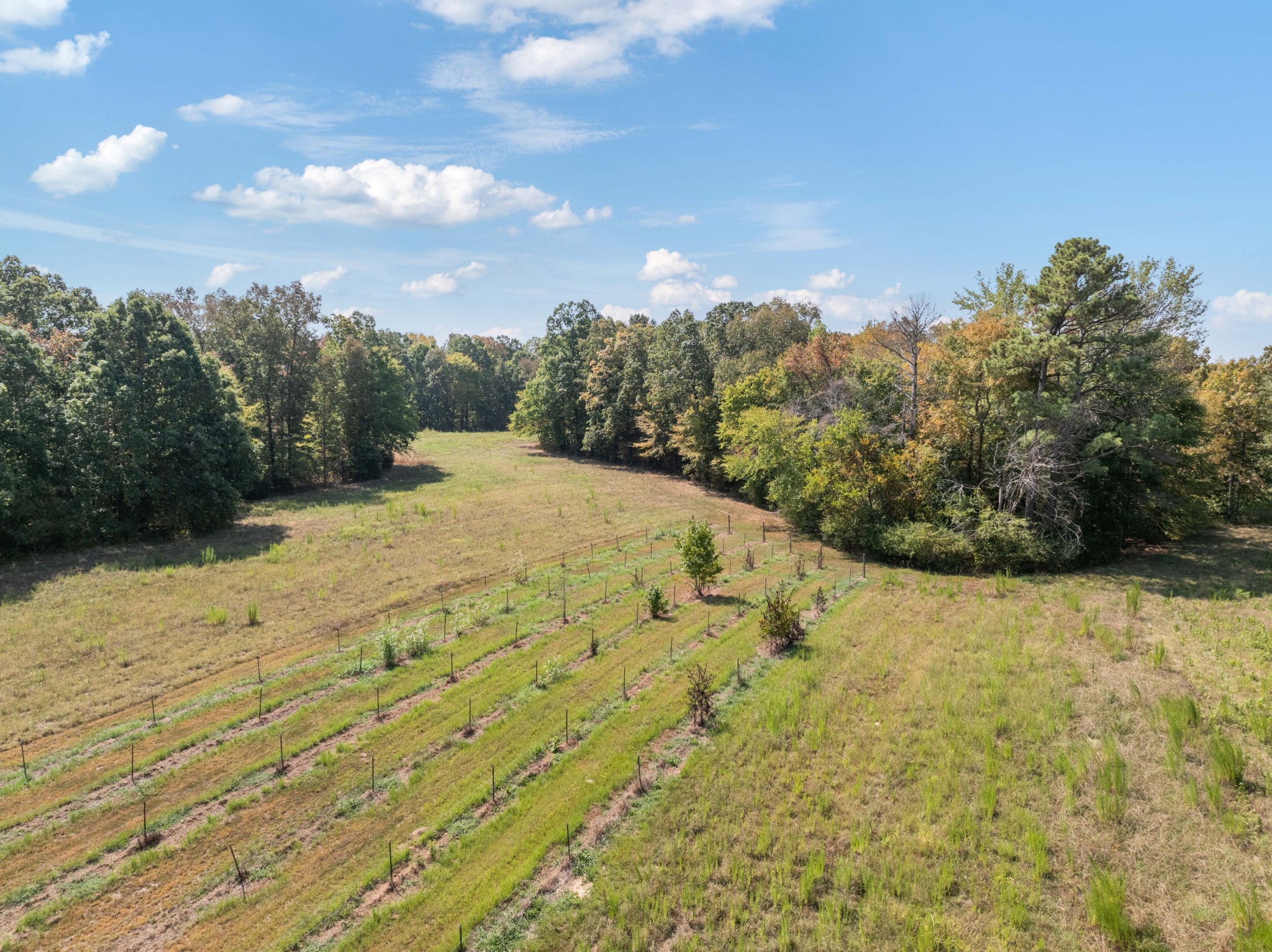 3379 Old Stage Rd Property Photo 52
