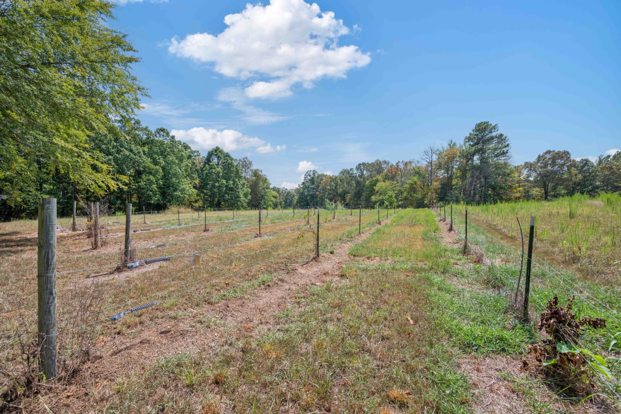 3379 Old Stage Rd Property Photo 62