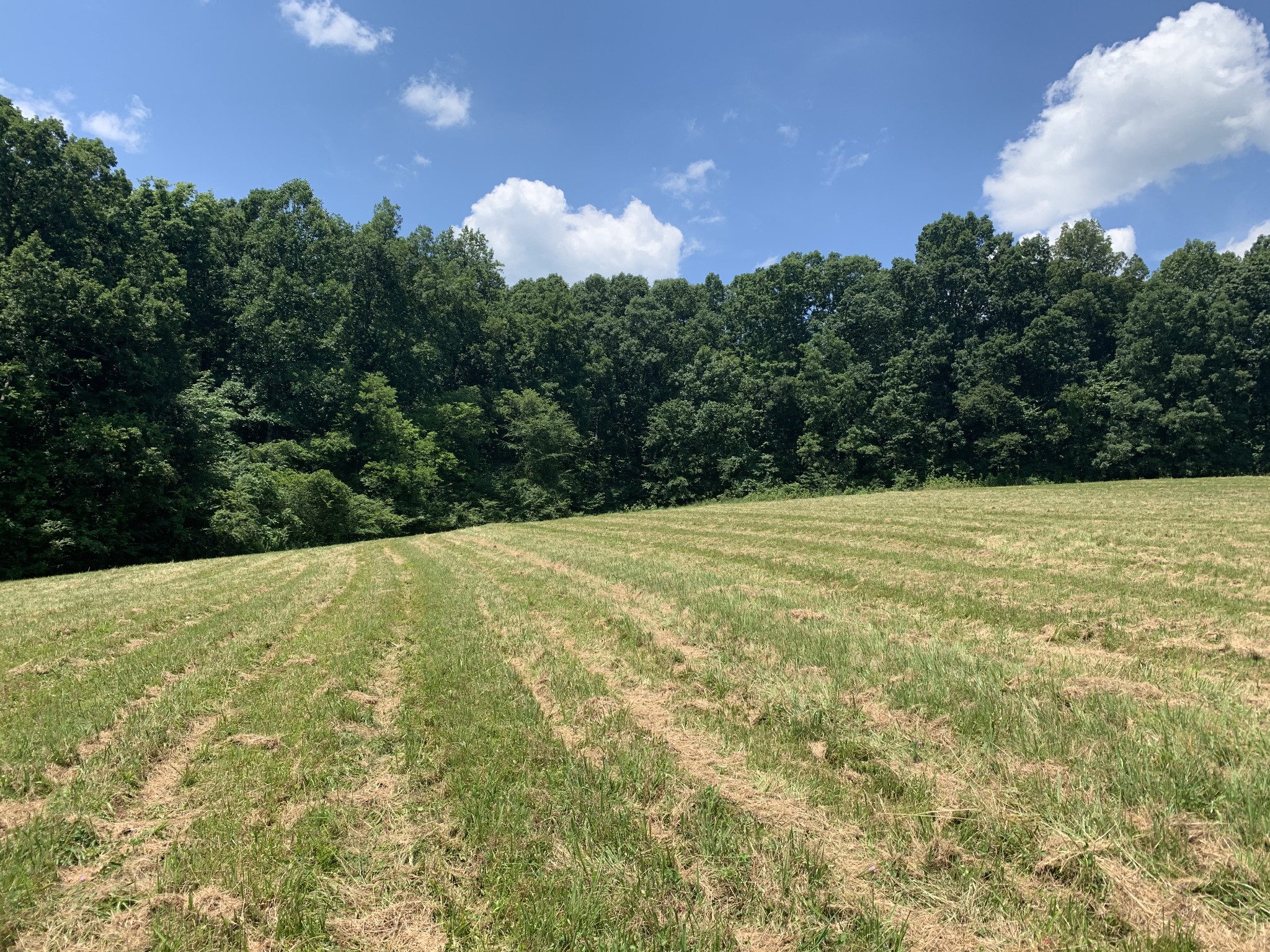 5756 Green Chapel Rd Property Photo 10