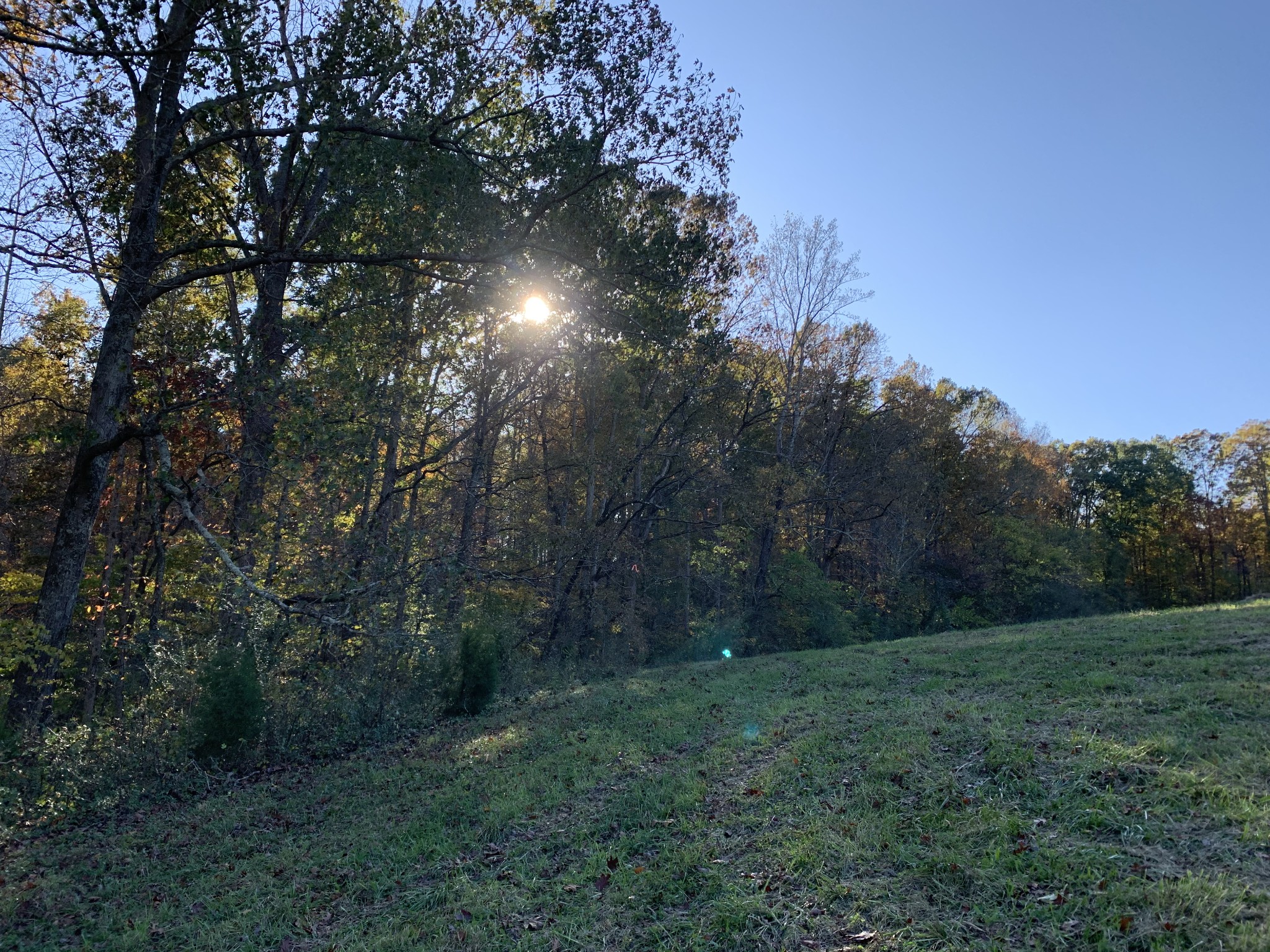 5756 Green Chapel Rd Property Photo 11
