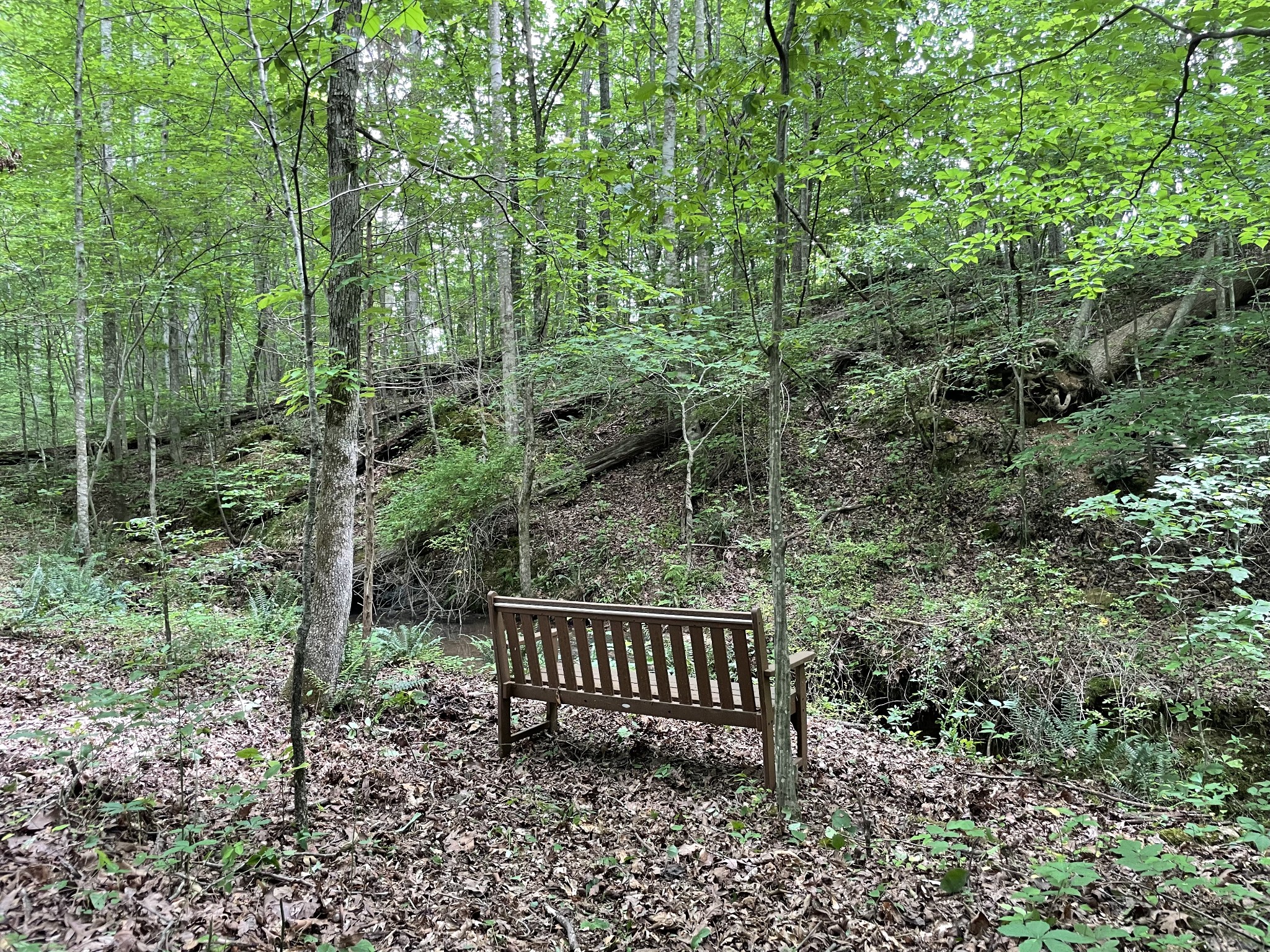 5756 Green Chapel Rd Property Photo 15
