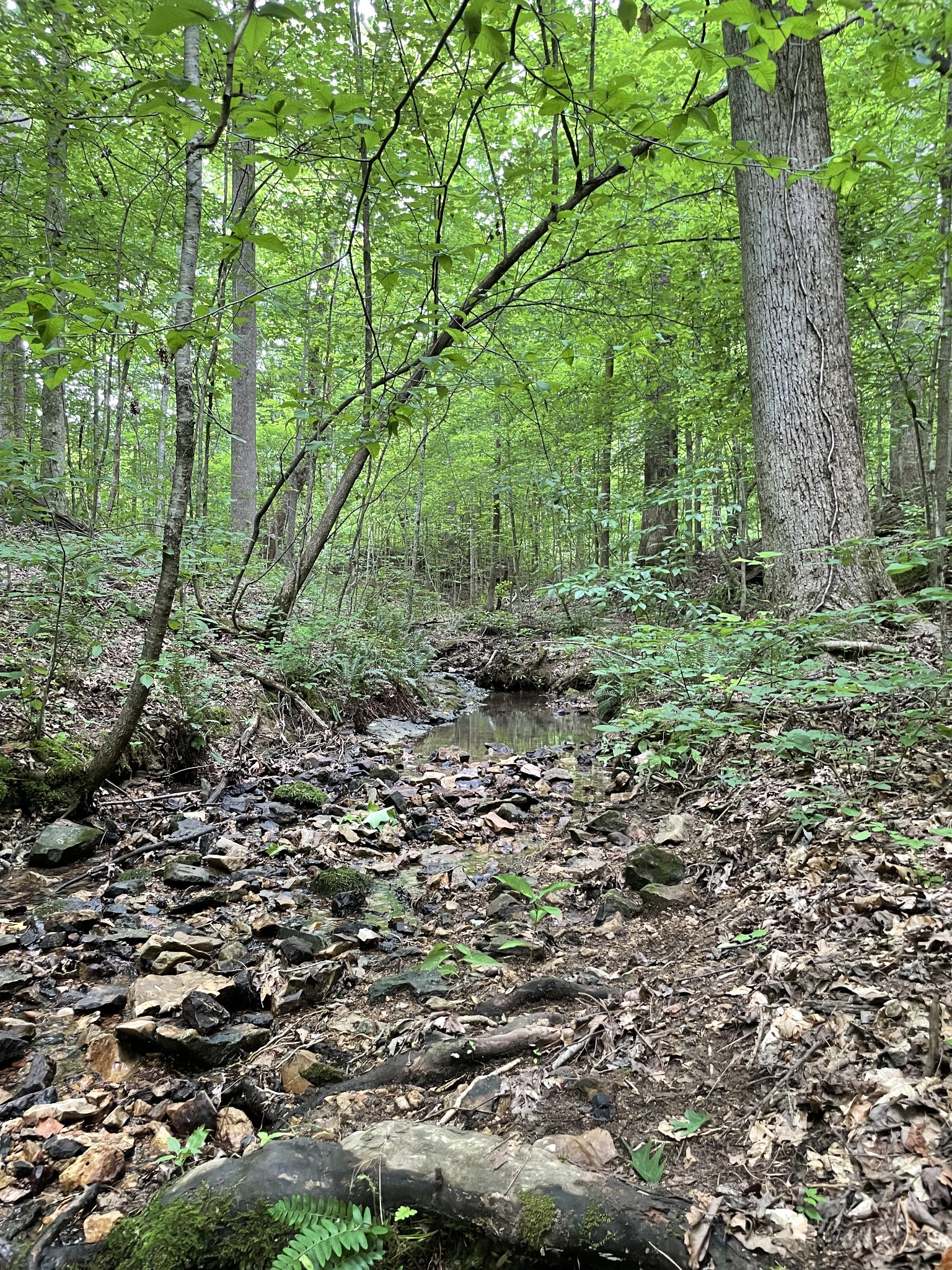 5756 Green Chapel Rd Property Photo 17