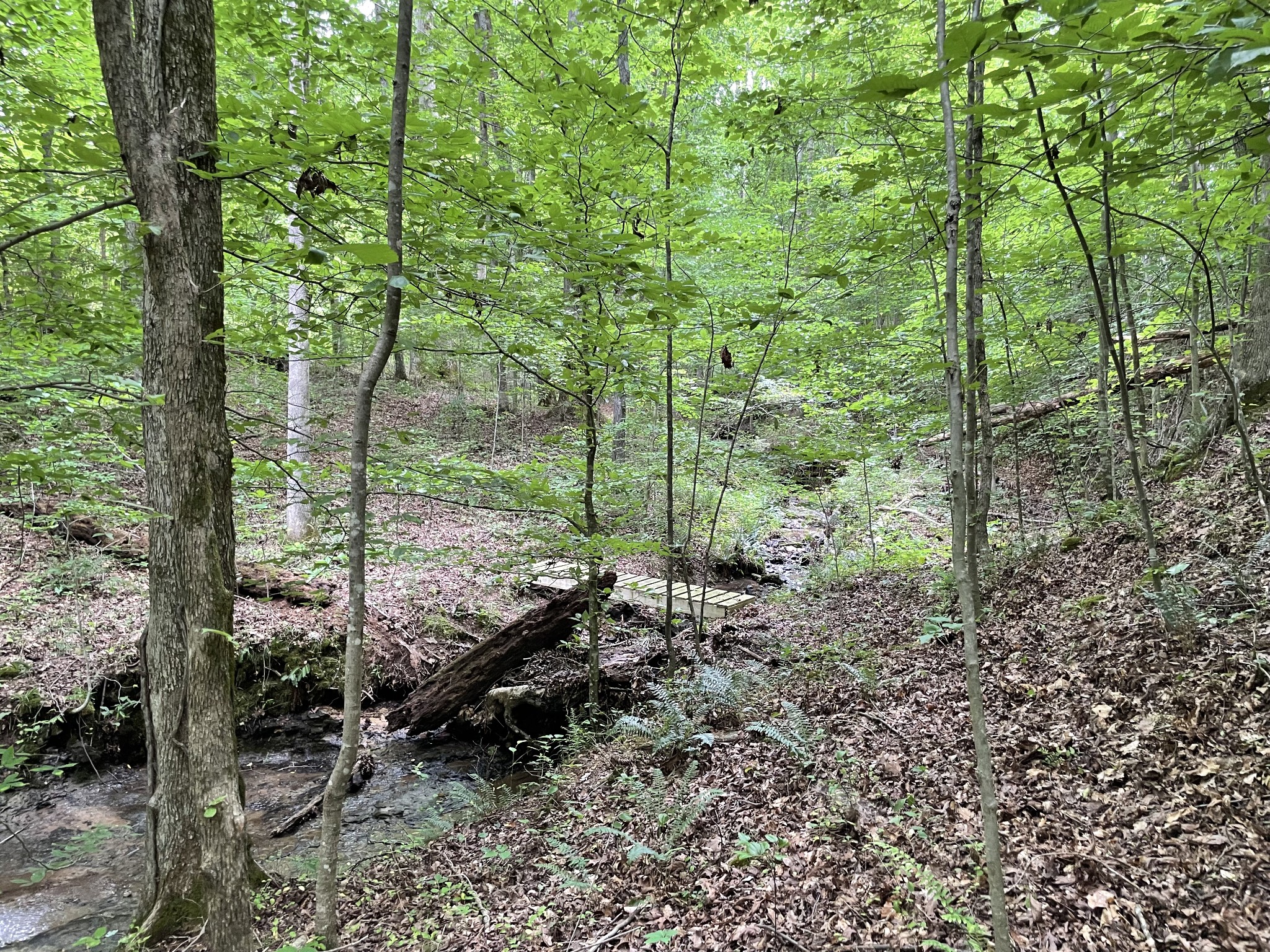 5756 Green Chapel Rd Property Photo 17