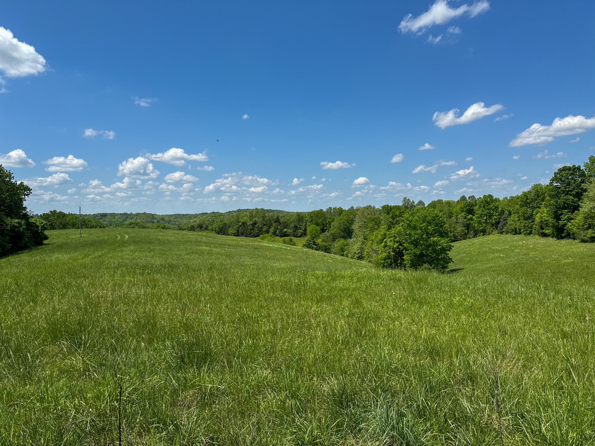 0 Knob Creek Rd Property Photo 4