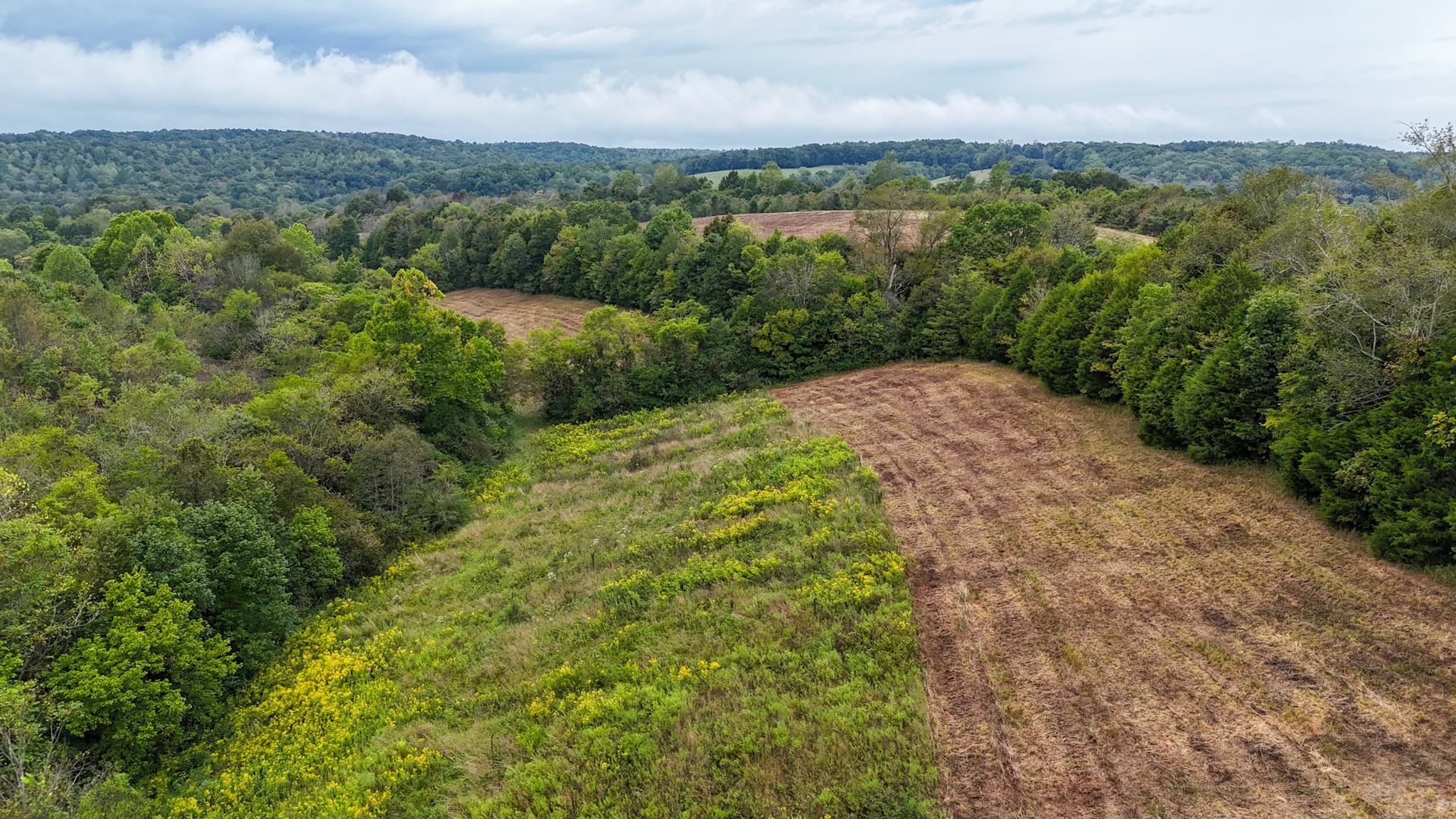 0 Knob Creek Rd Property Photo 28
