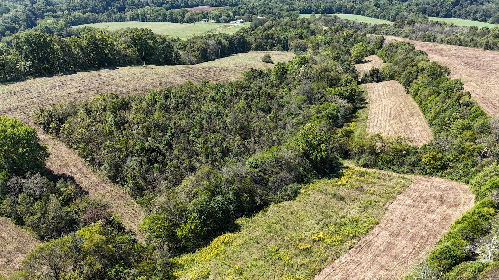 0 Knob Creek Rd Property Photo 31