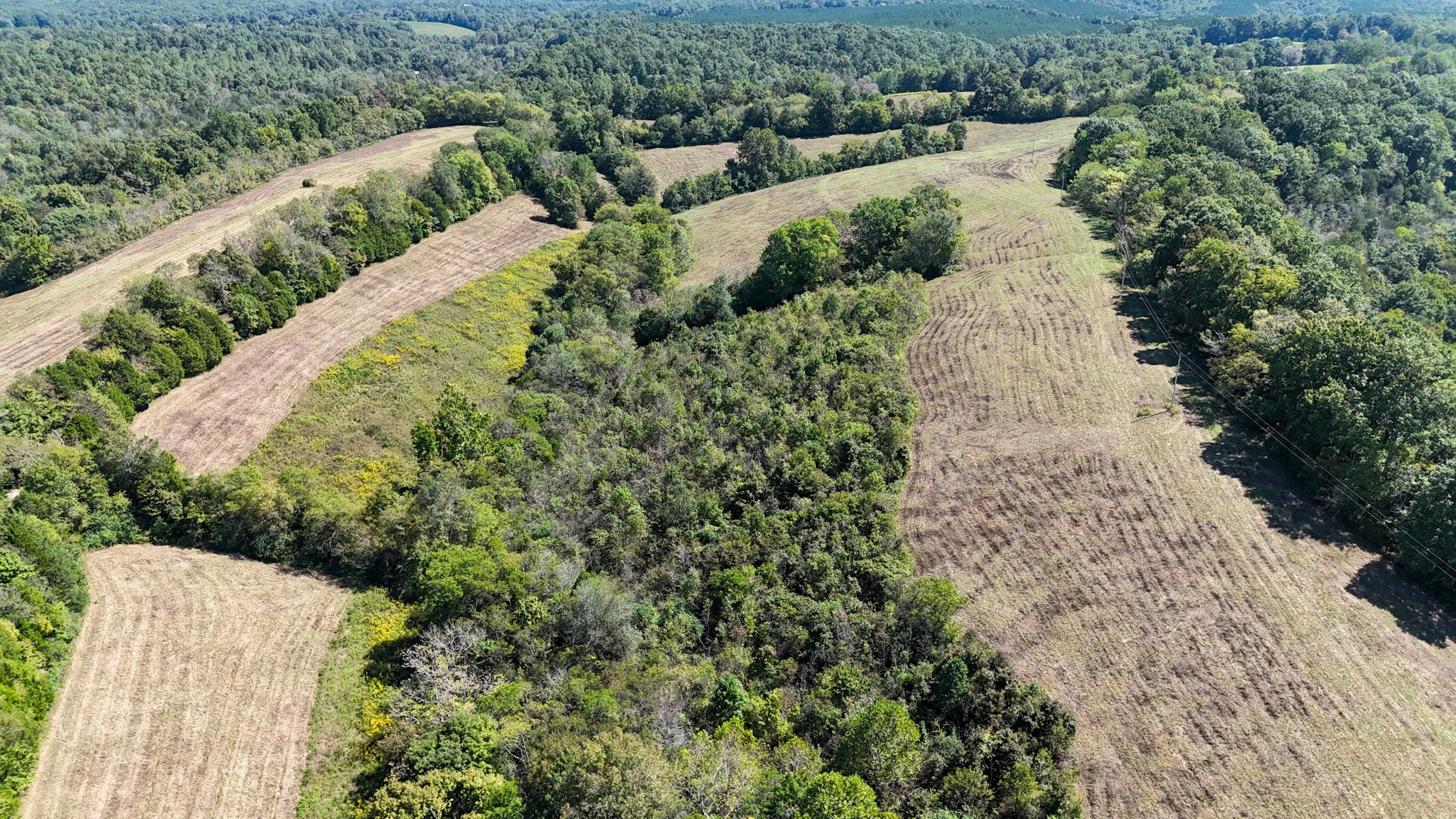 0 Knob Creek Rd Property Photo 32