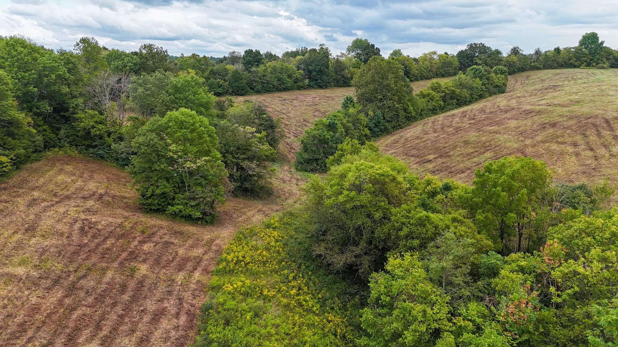 0 Knob Creek Rd Property Photo 34
