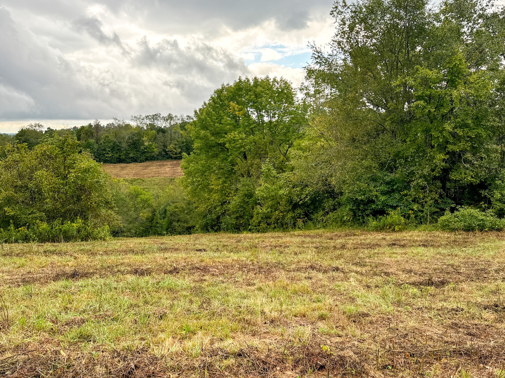 0 Knob Creek Rd Property Photo 35