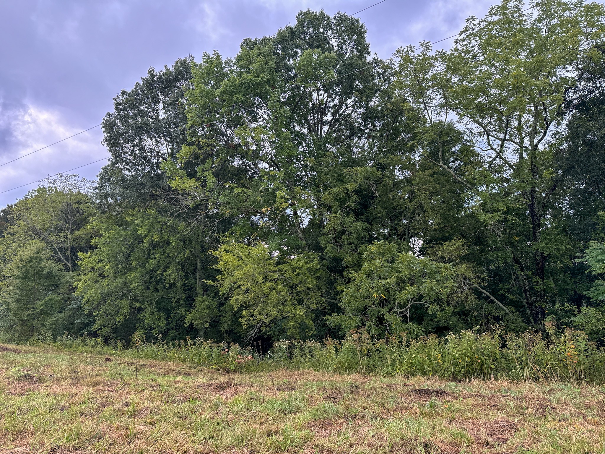 0 Knob Creek Rd Property Photo 38