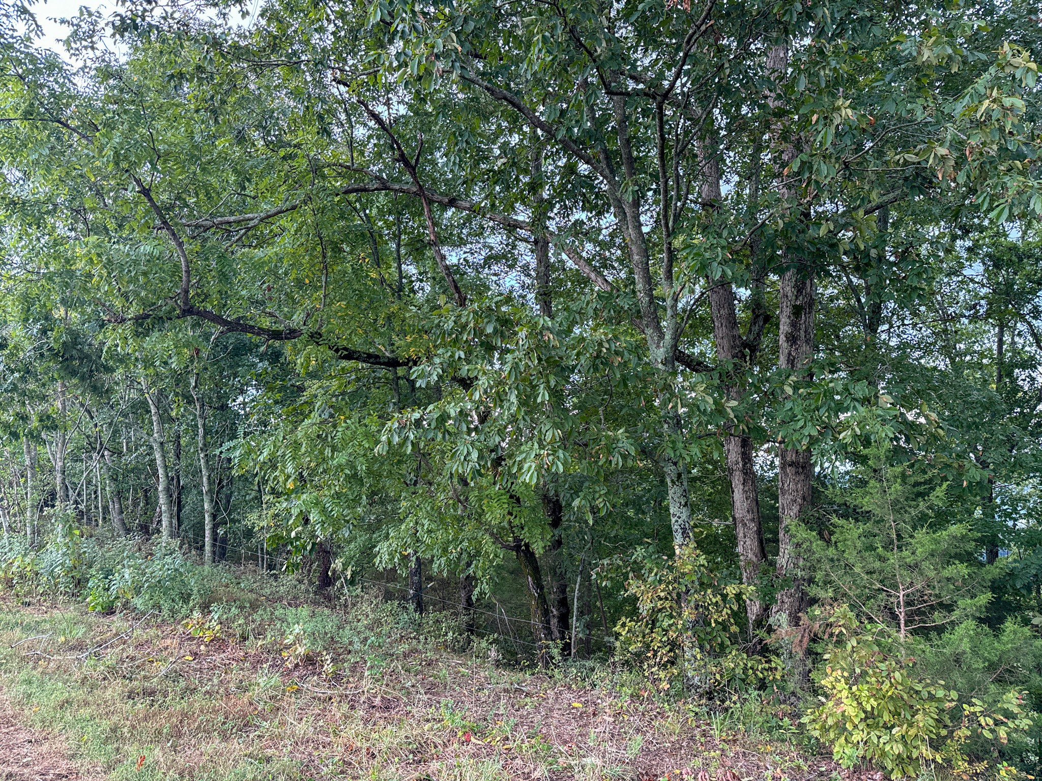 0 Knob Creek Rd Property Photo 40