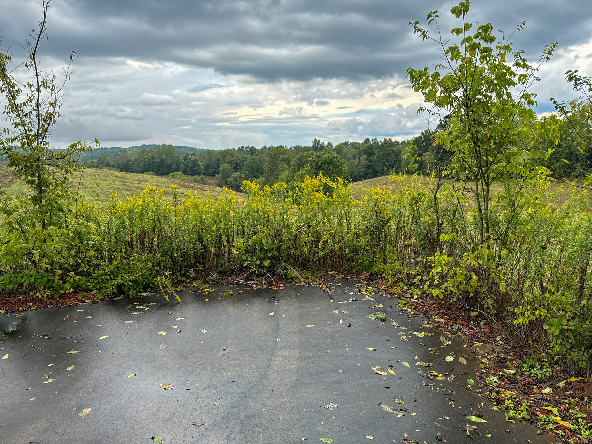 0 Knob Creek Rd Property Photo 42