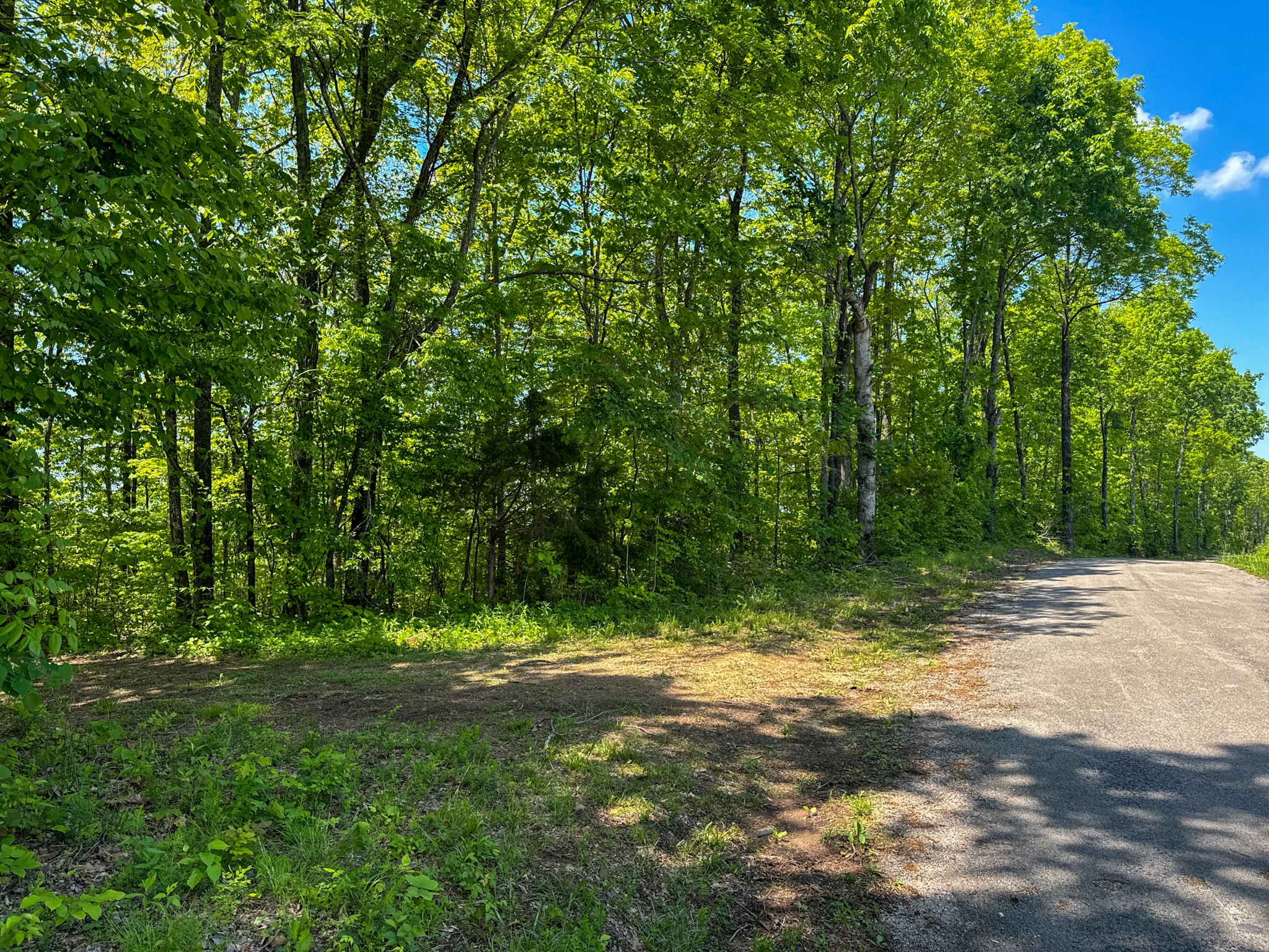 0 Knob Creek Rd Property Photo 47