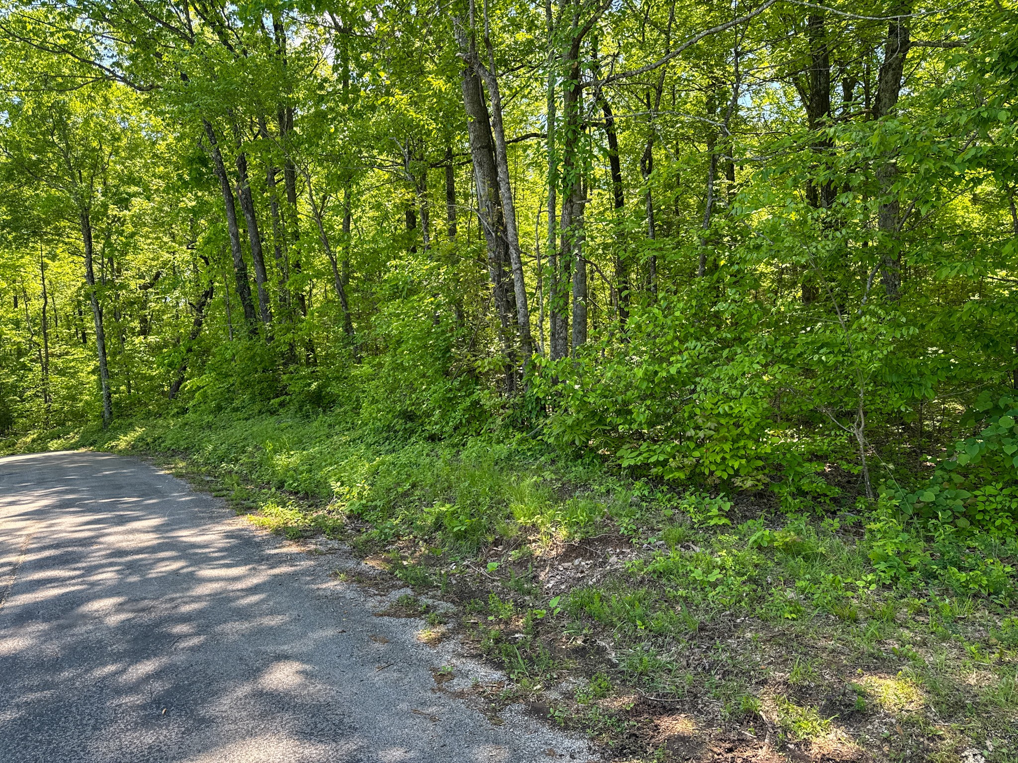 0 Knob Creek Rd Property Photo 48