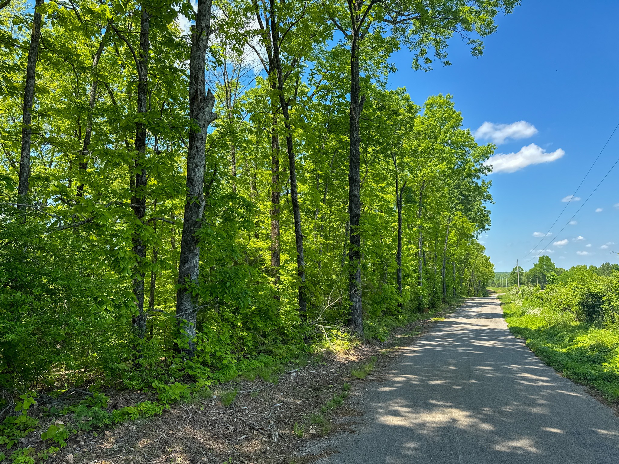 0 Knob Creek Rd Property Photo 49