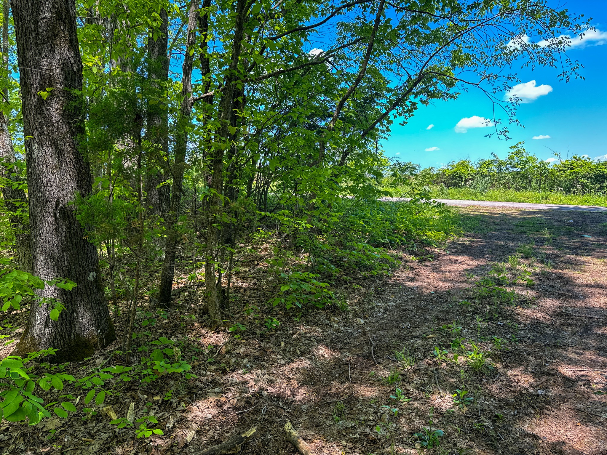 0 Knob Creek Rd Property Photo 54