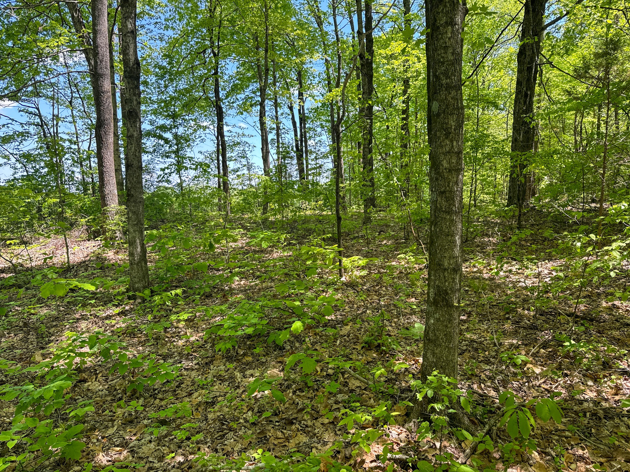0 Knob Creek Rd Property Photo 57