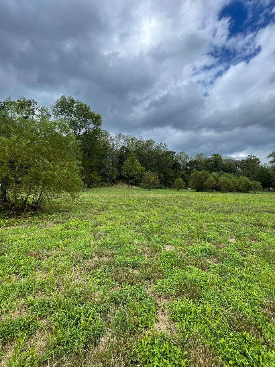 6 Hwy 48 N Property Photo 2
