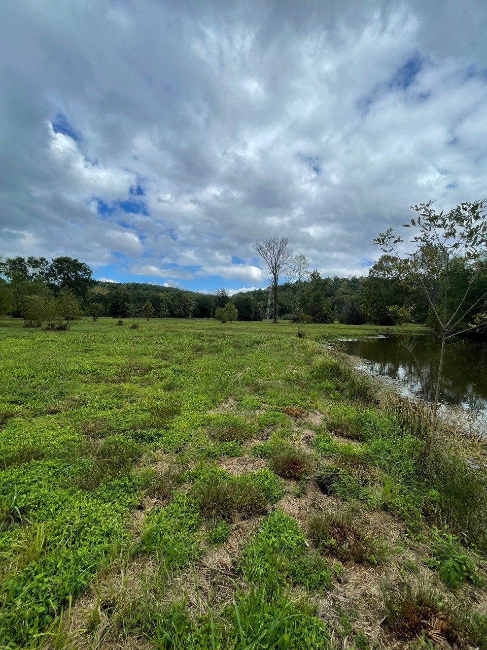 6 Hwy 48 N Property Photo 4