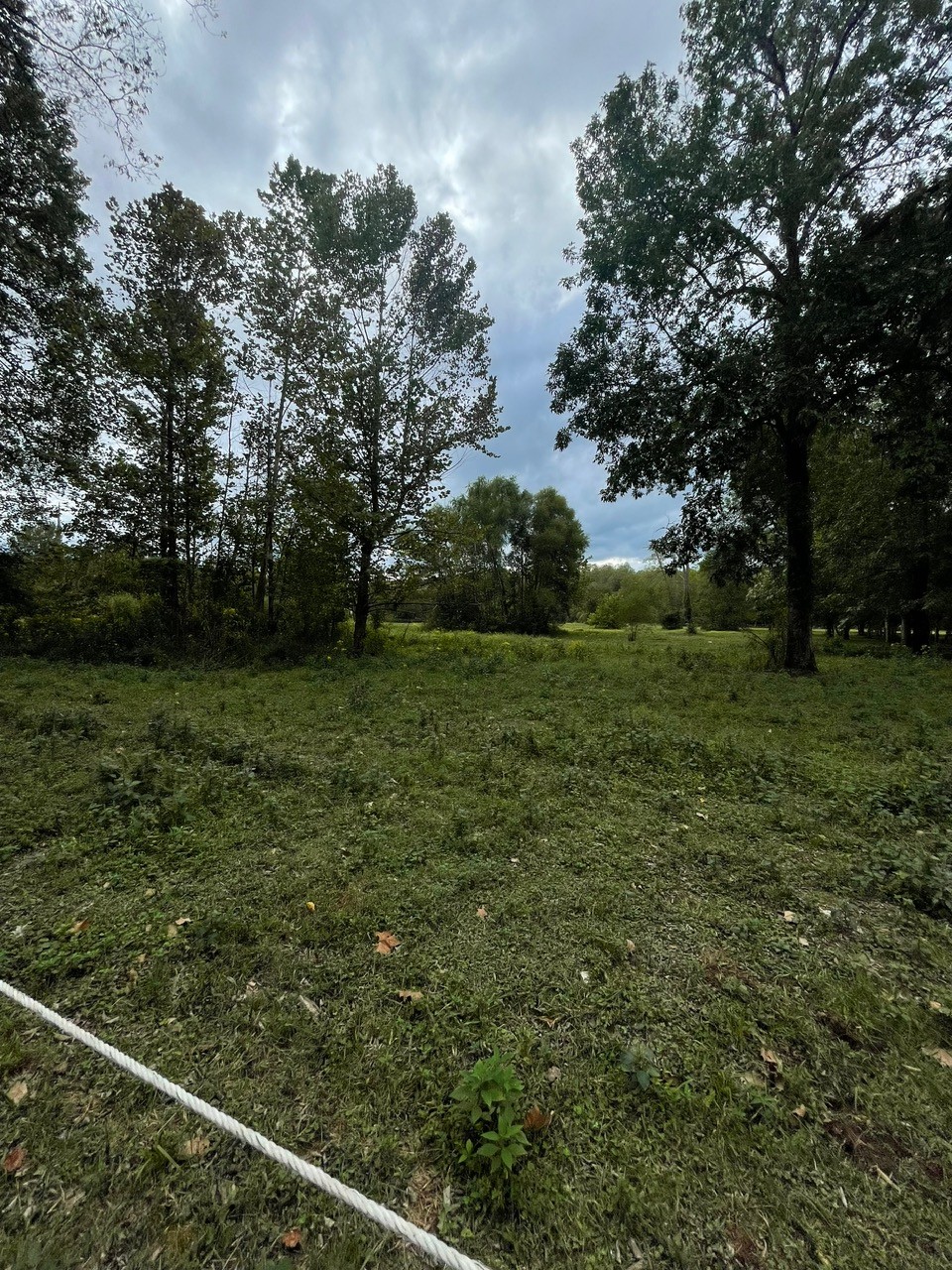6 Hwy 48 N Property Photo 8