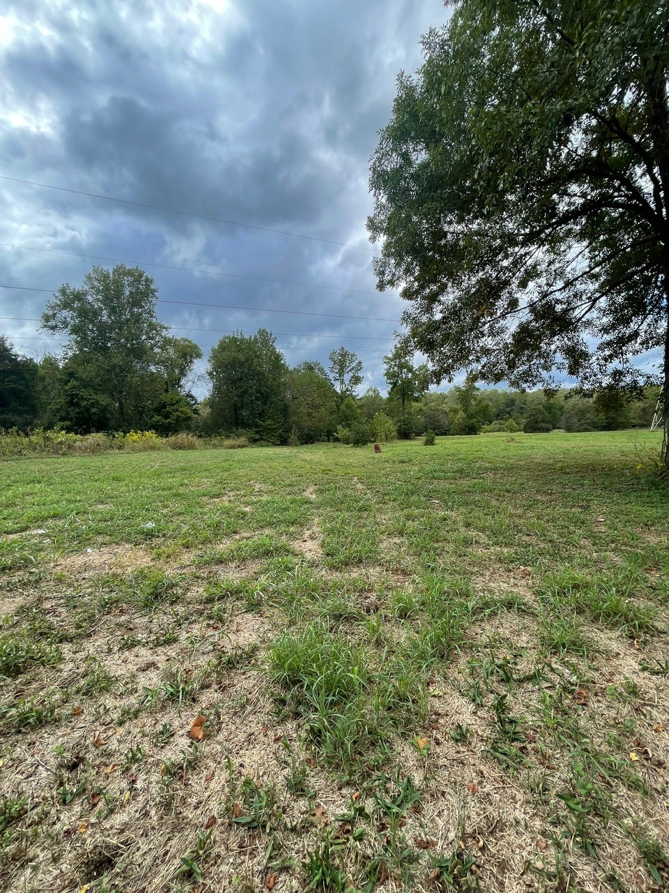 6 Hwy 48 N Property Photo 9