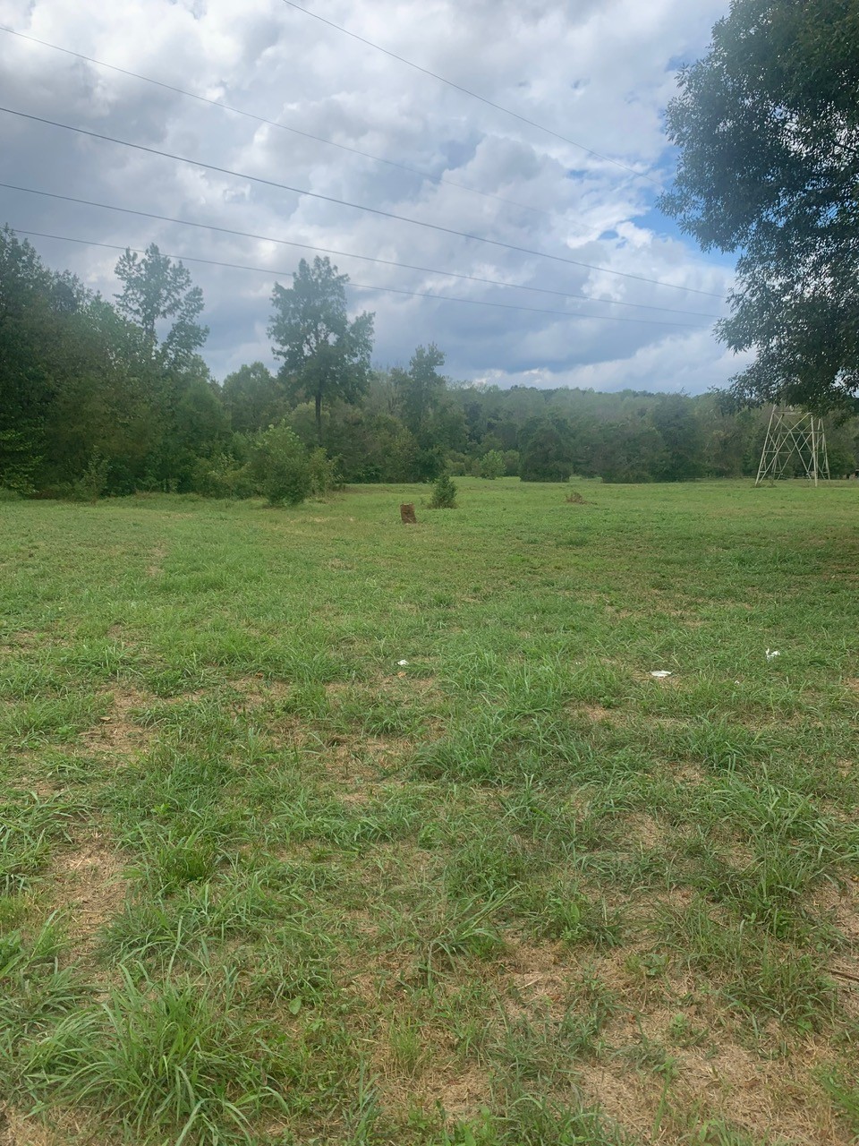 6 Hwy 48 N Property Photo 11