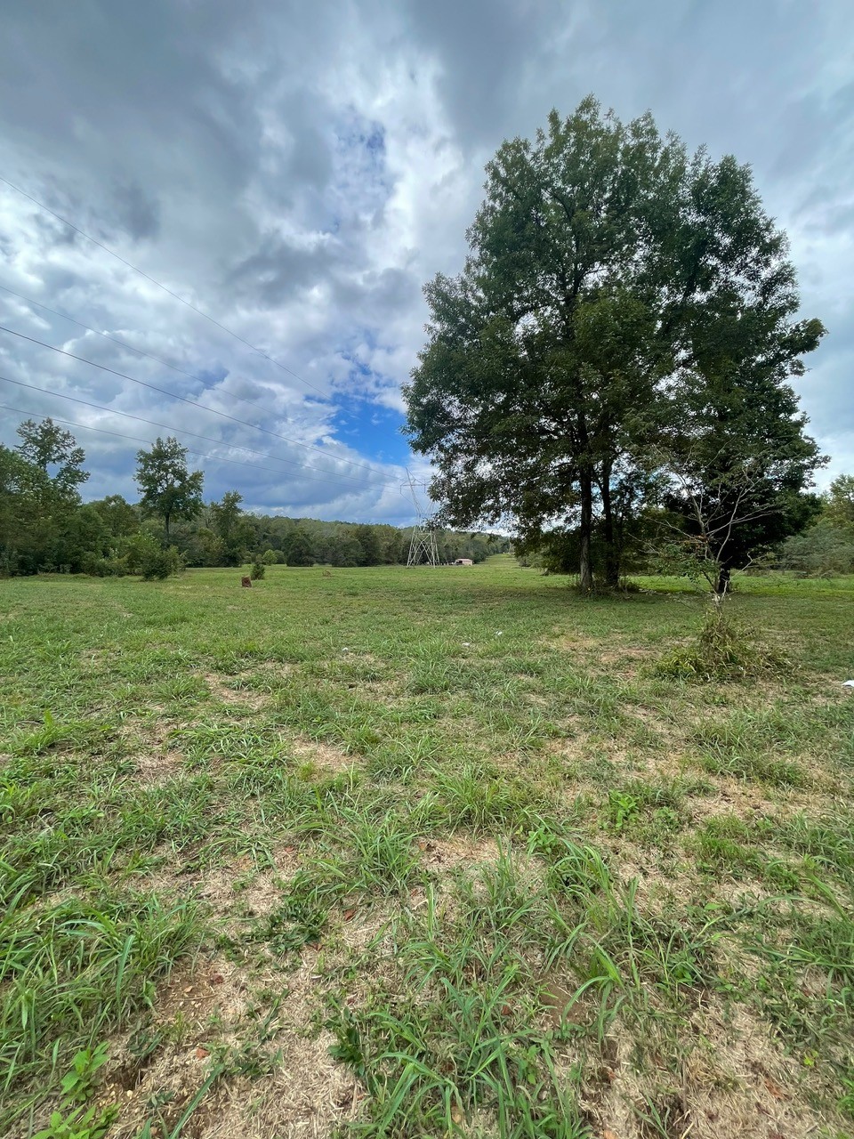 6 Hwy 48 N Property Photo 12