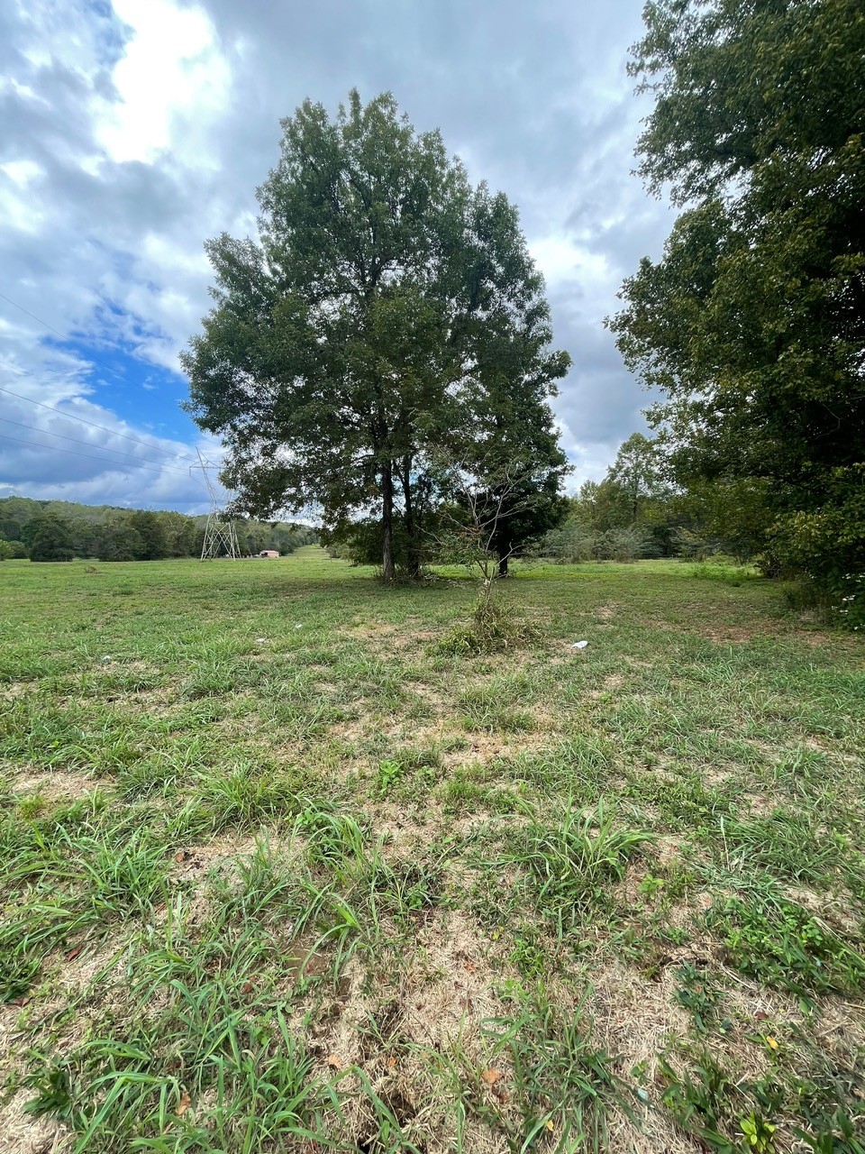 6 Hwy 48 N Property Photo 13