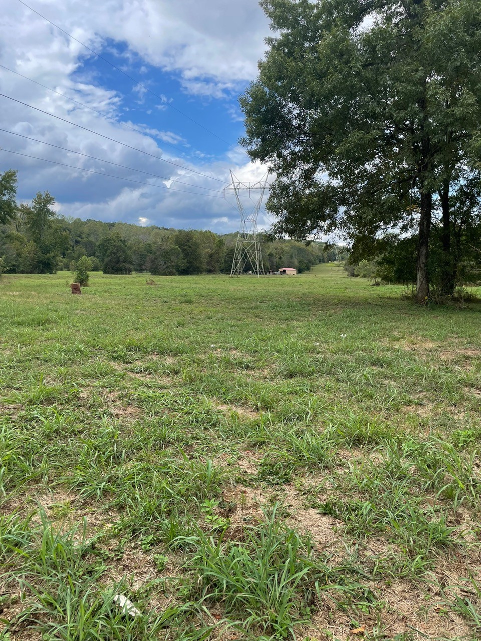 6 Hwy 48 N Property Photo 17