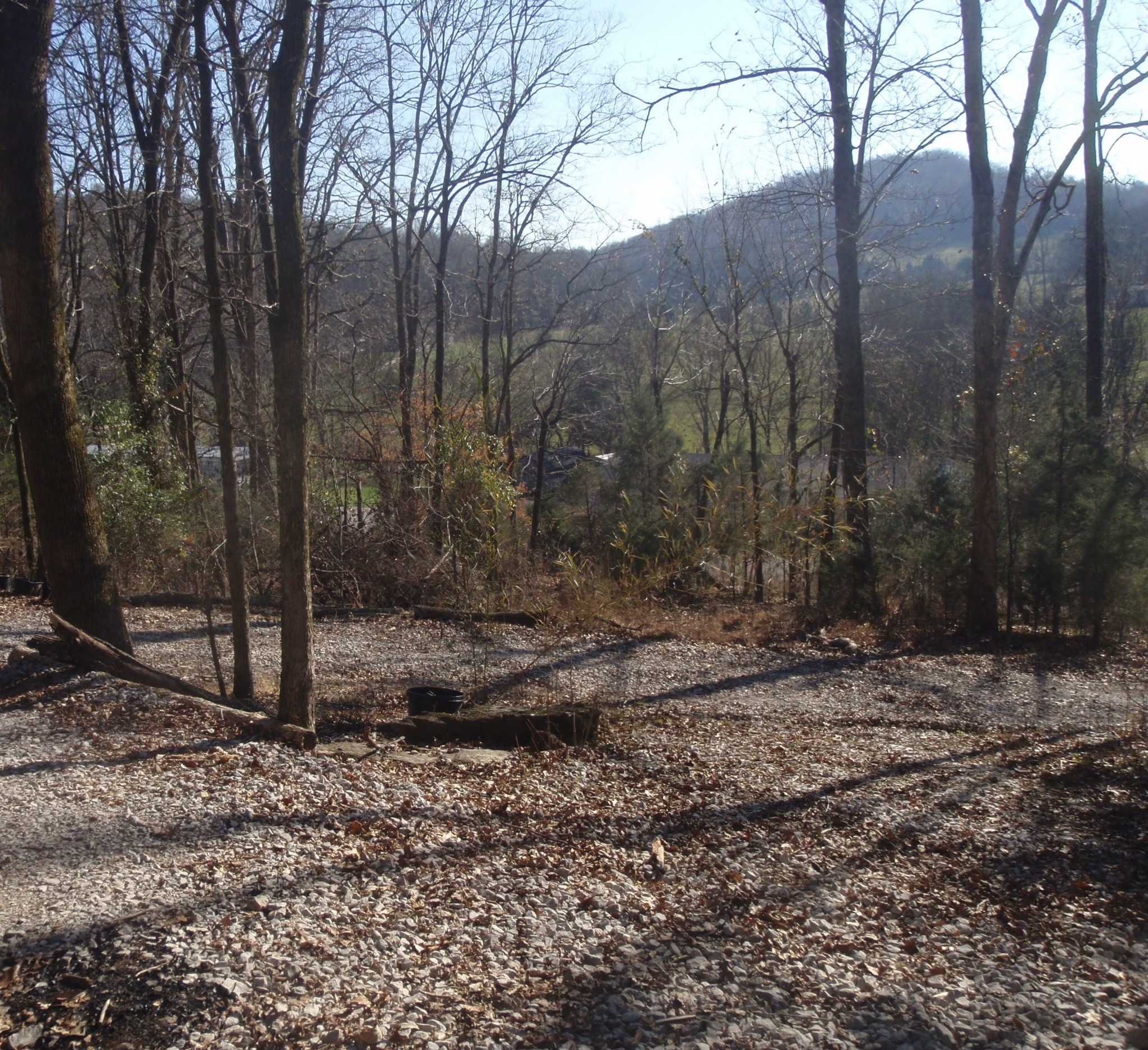 0 Toll Dugger Rd Property Photo 5