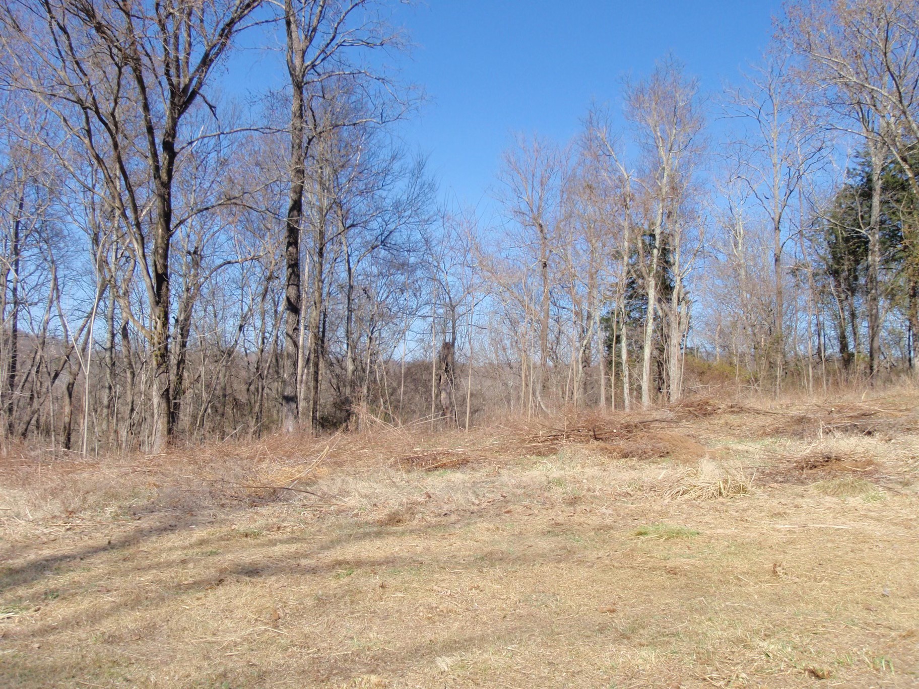 0 Toll Dugger Rd Property Photo 6