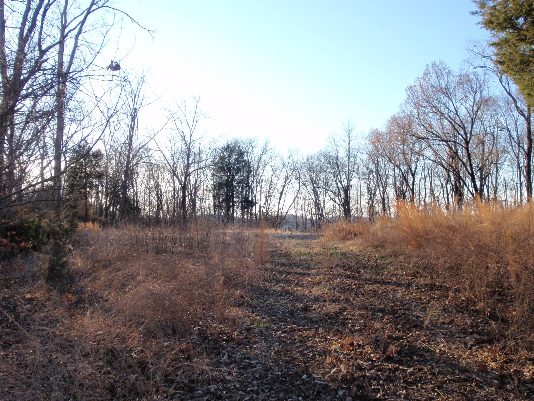 0 Toll Dugger Rd Property Photo 8