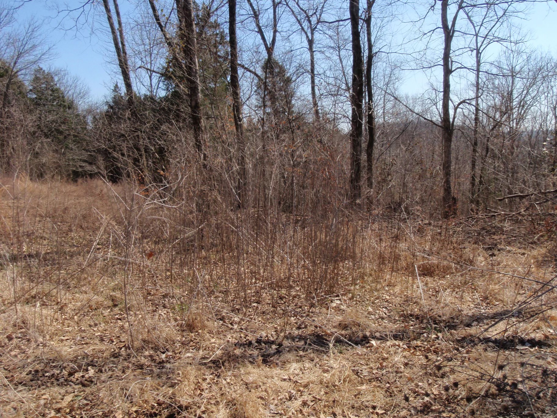 0 Toll Dugger Rd Property Photo 13