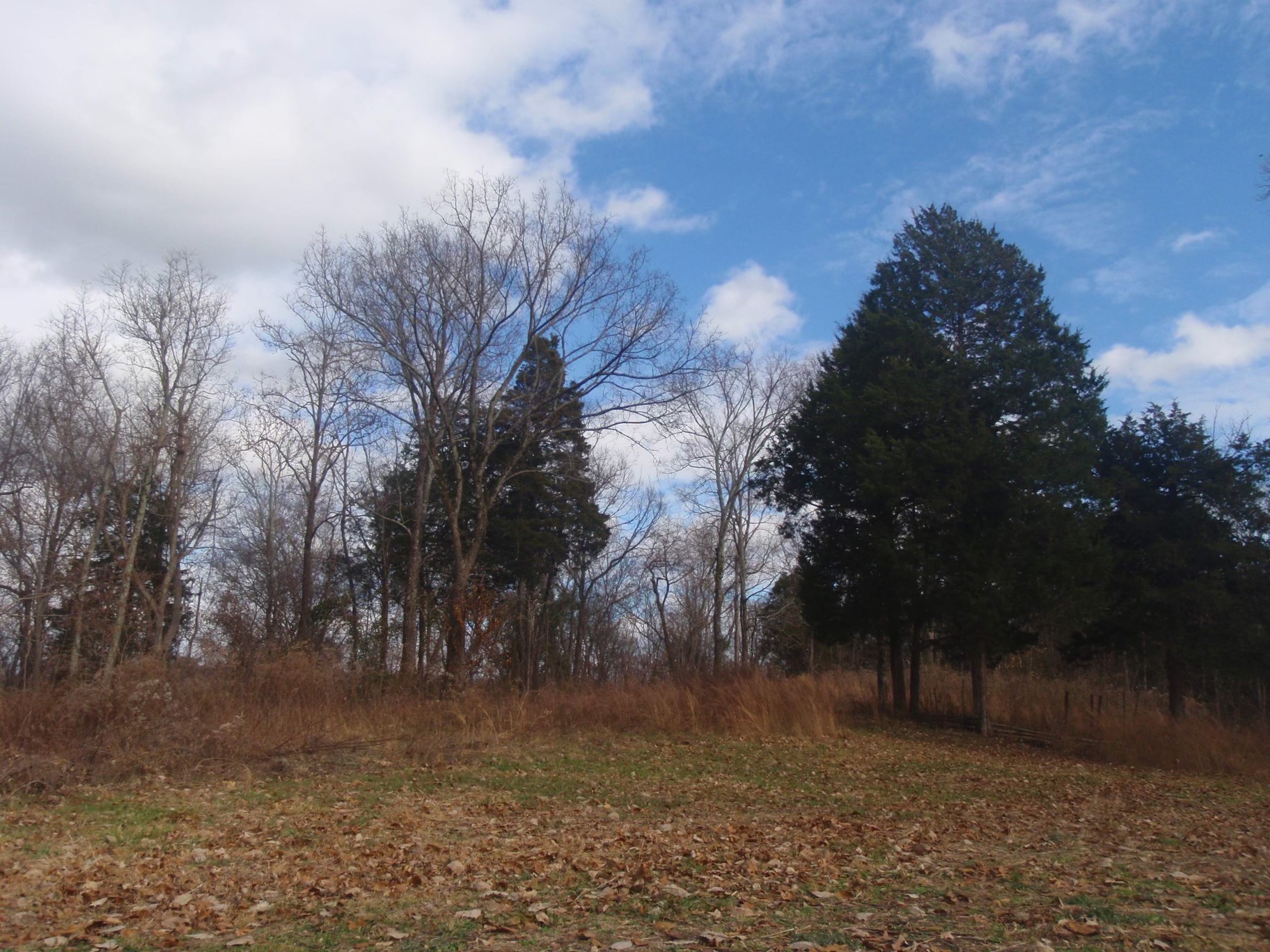 0 Toll Dugger Rd Property Photo 14