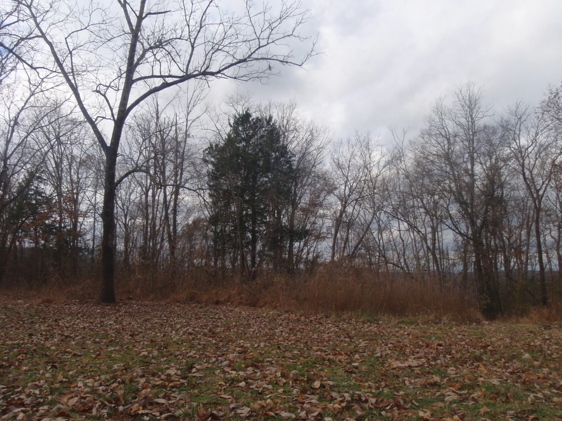 0 Toll Dugger Rd Property Photo 15