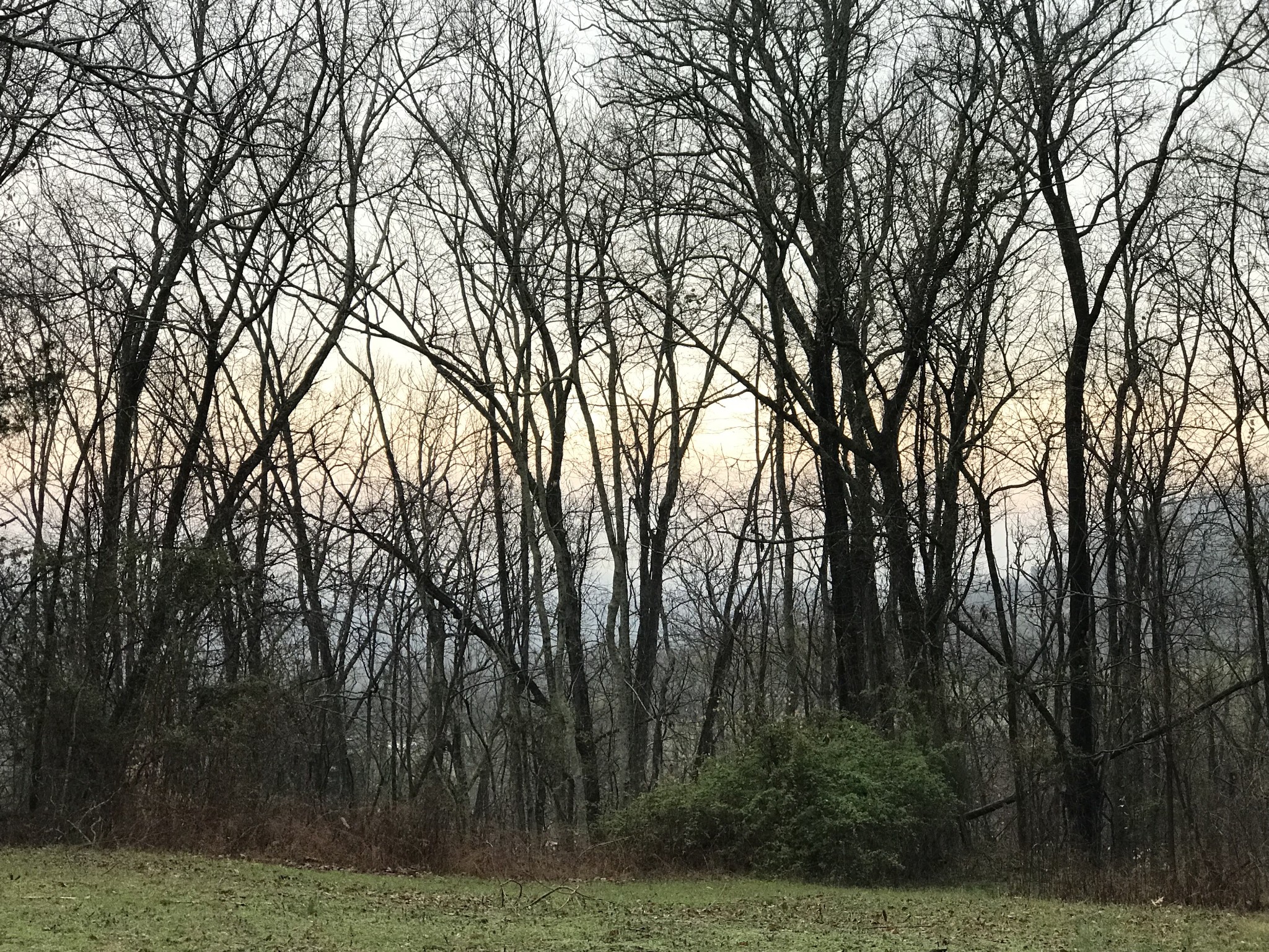 0 Toll Dugger Rd Property Photo 19