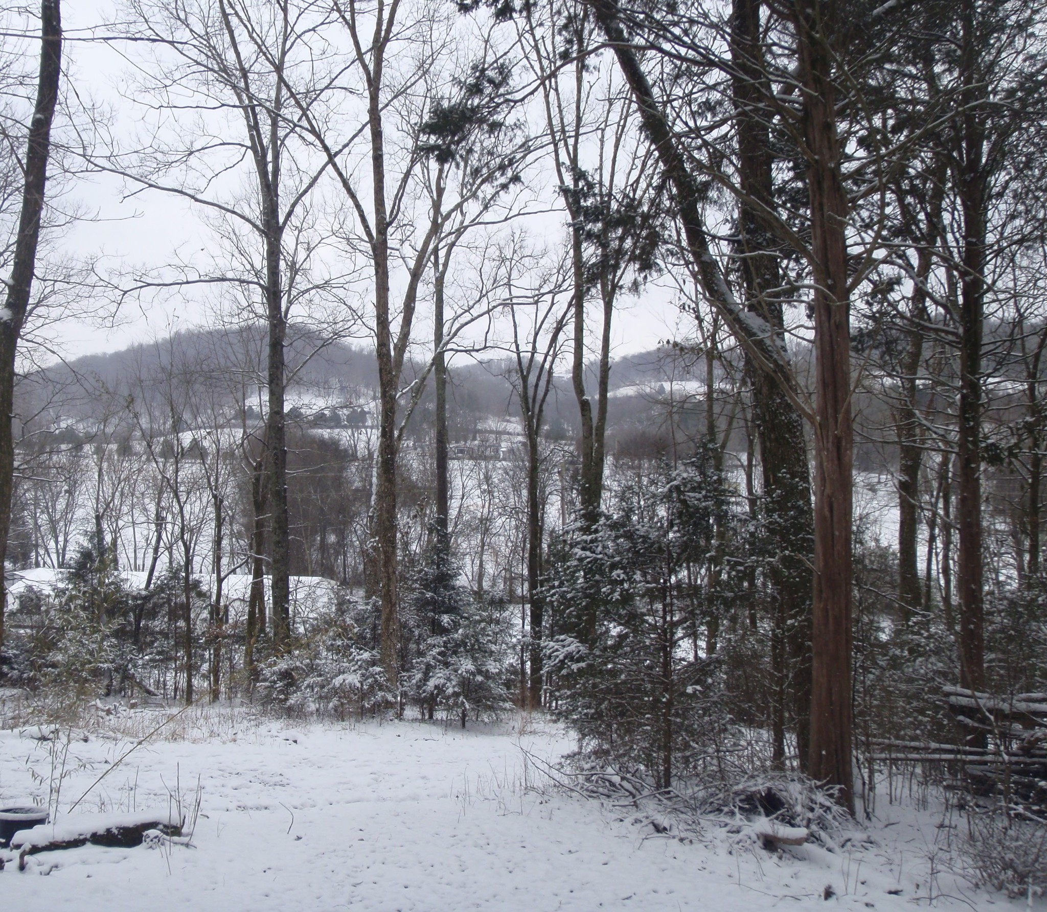 0 Toll Dugger Rd Property Photo 30