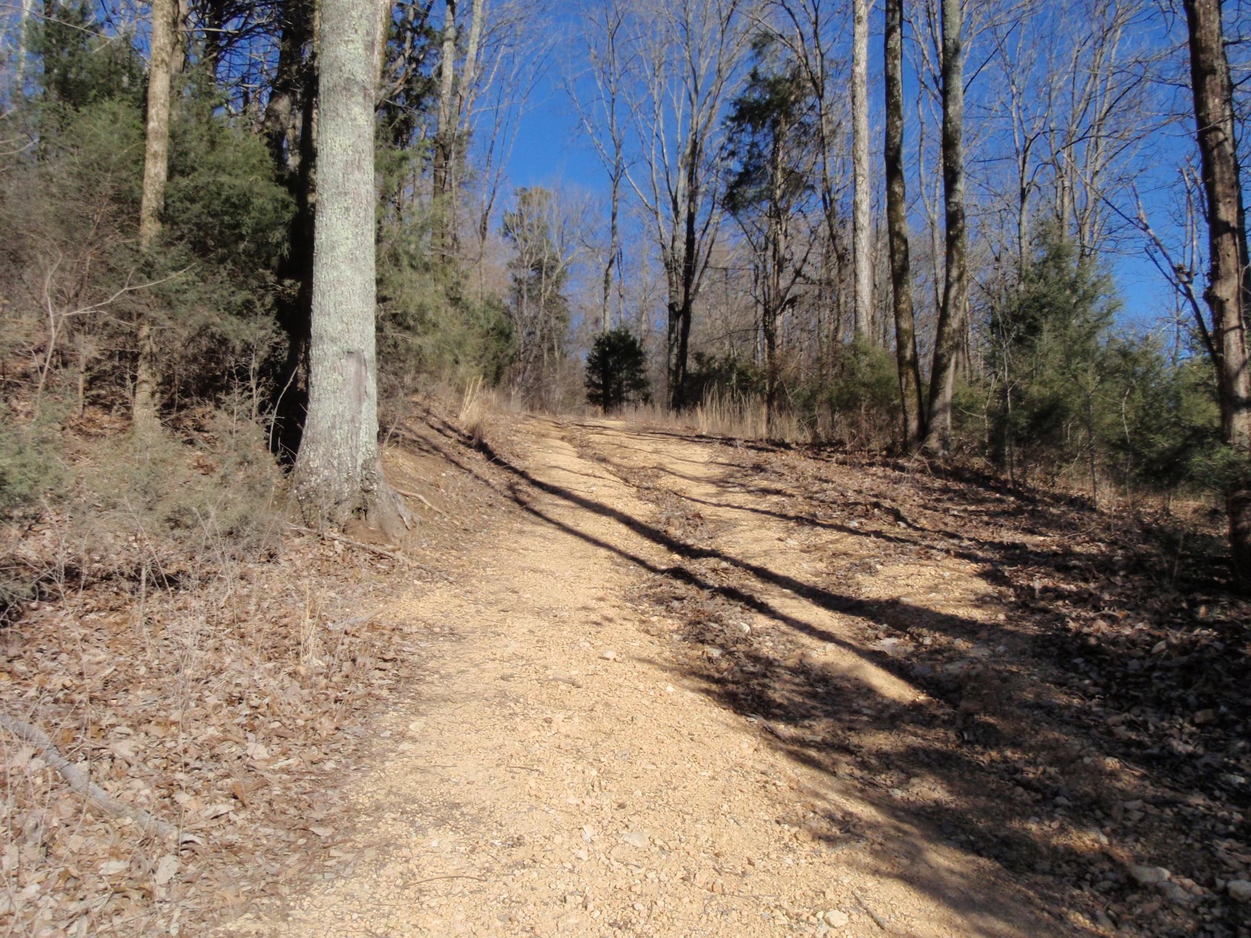 0 Toll Dugger Rd Property Photo 31