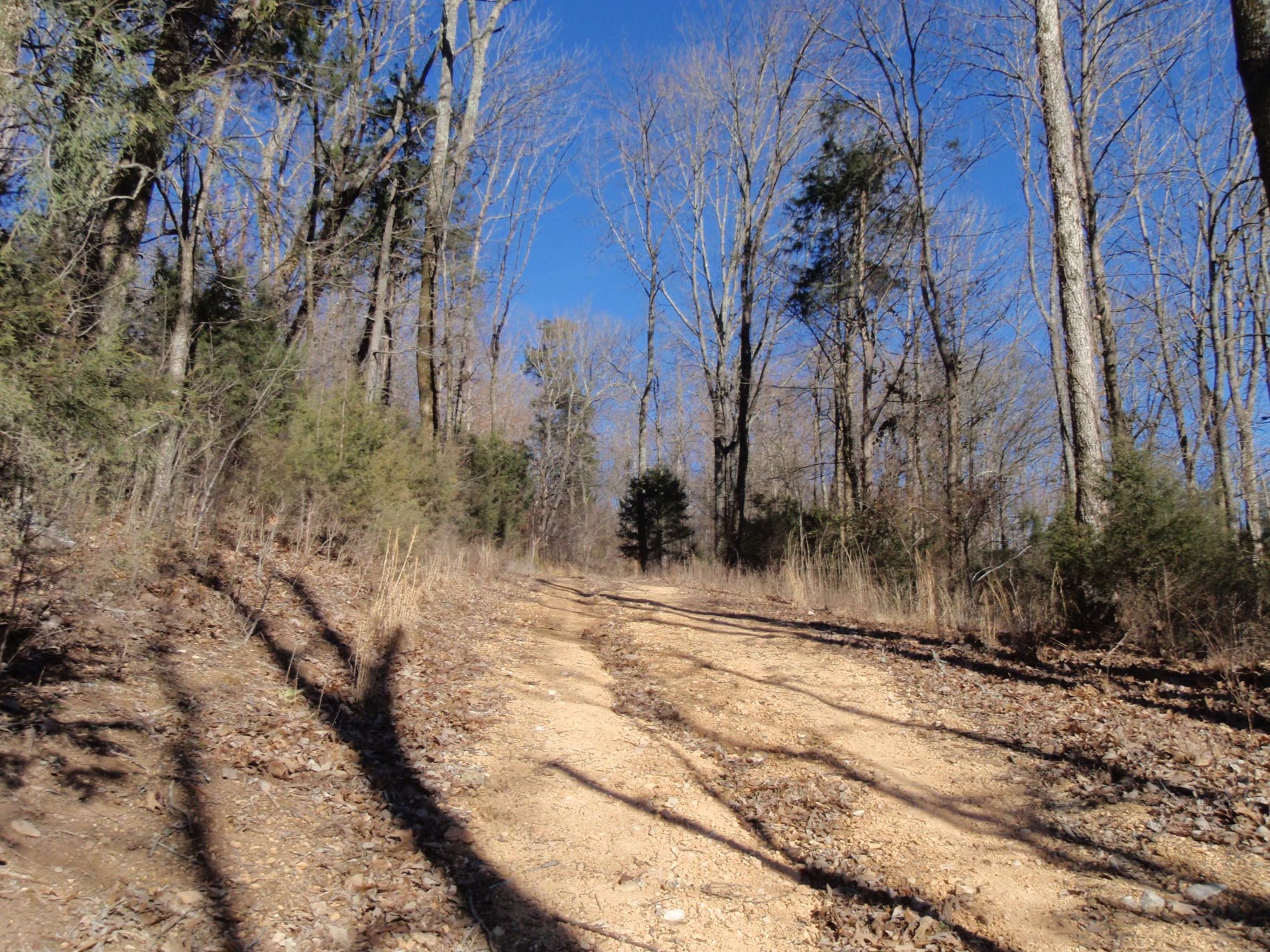 0 Toll Dugger Rd Property Photo 32