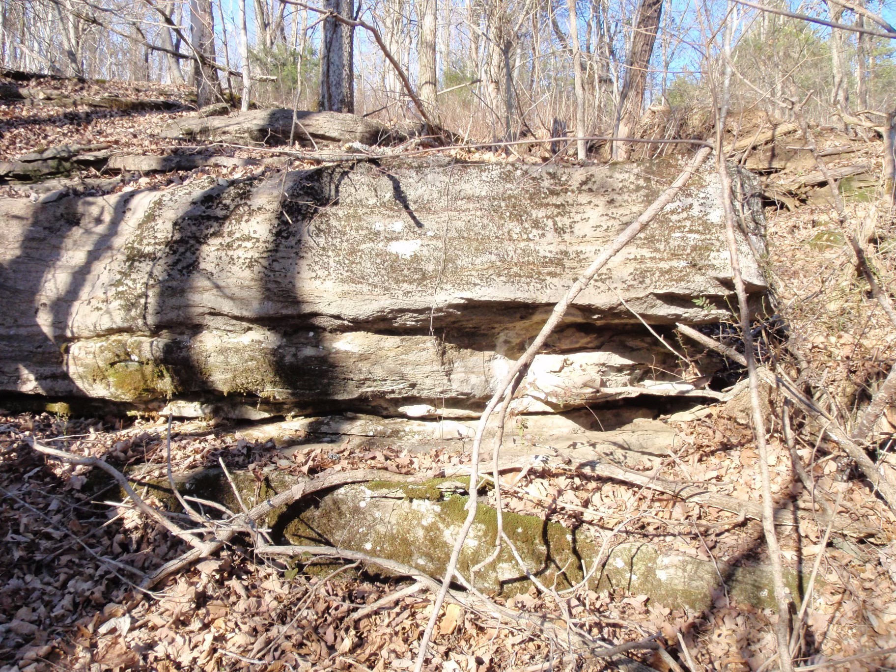 0 Toll Dugger Rd Property Photo 33