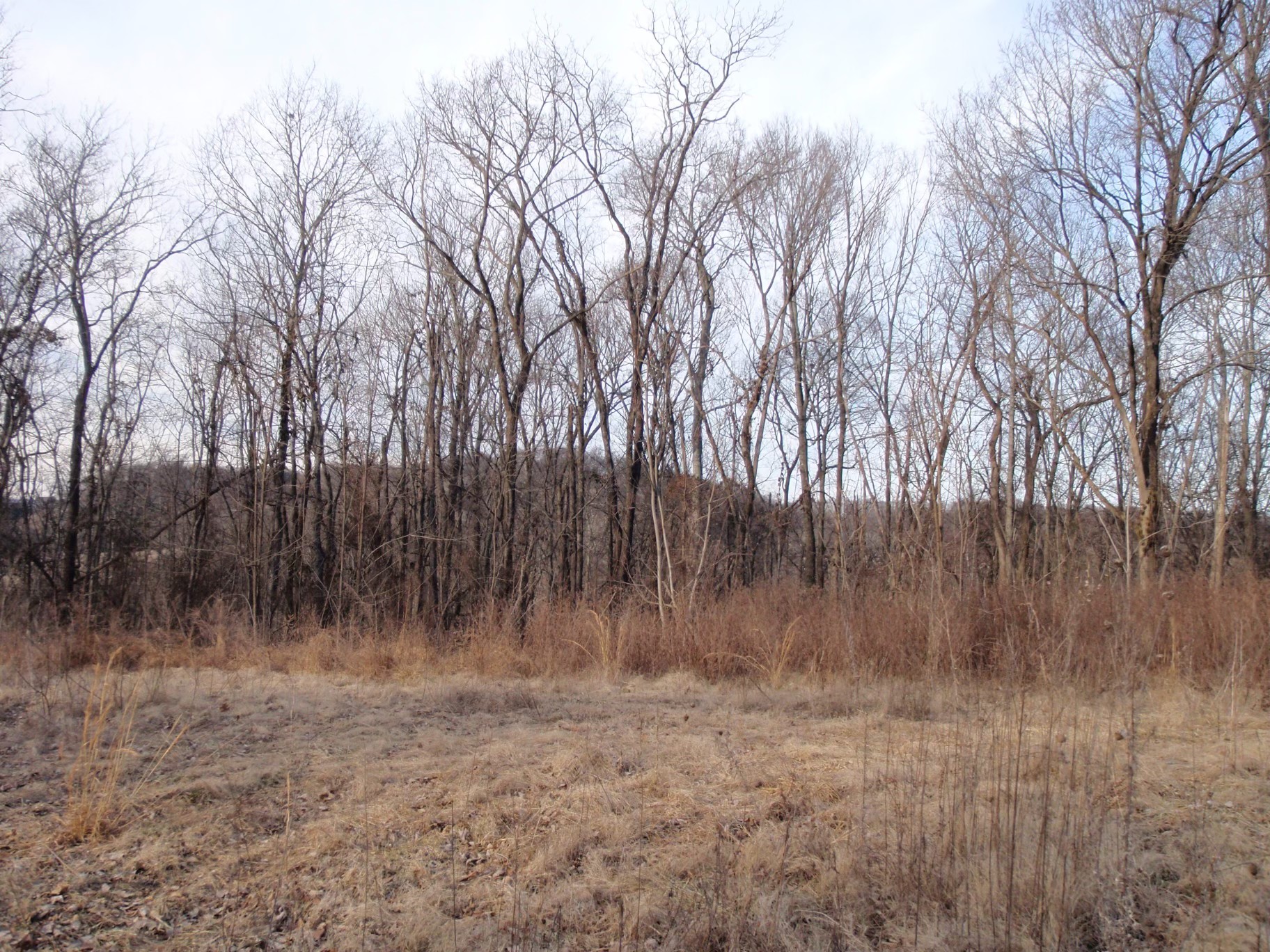 0 Toll Dugger Rd Property Photo 34