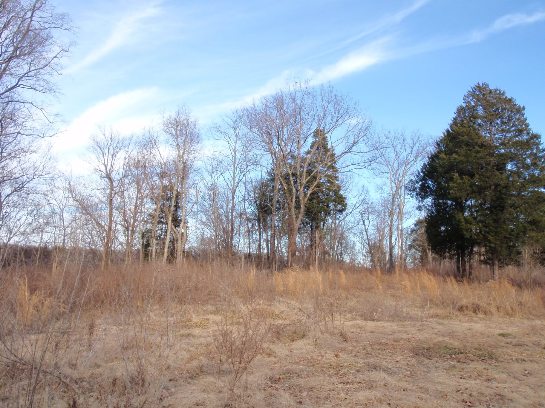 0 Toll Dugger Rd Property Photo 35