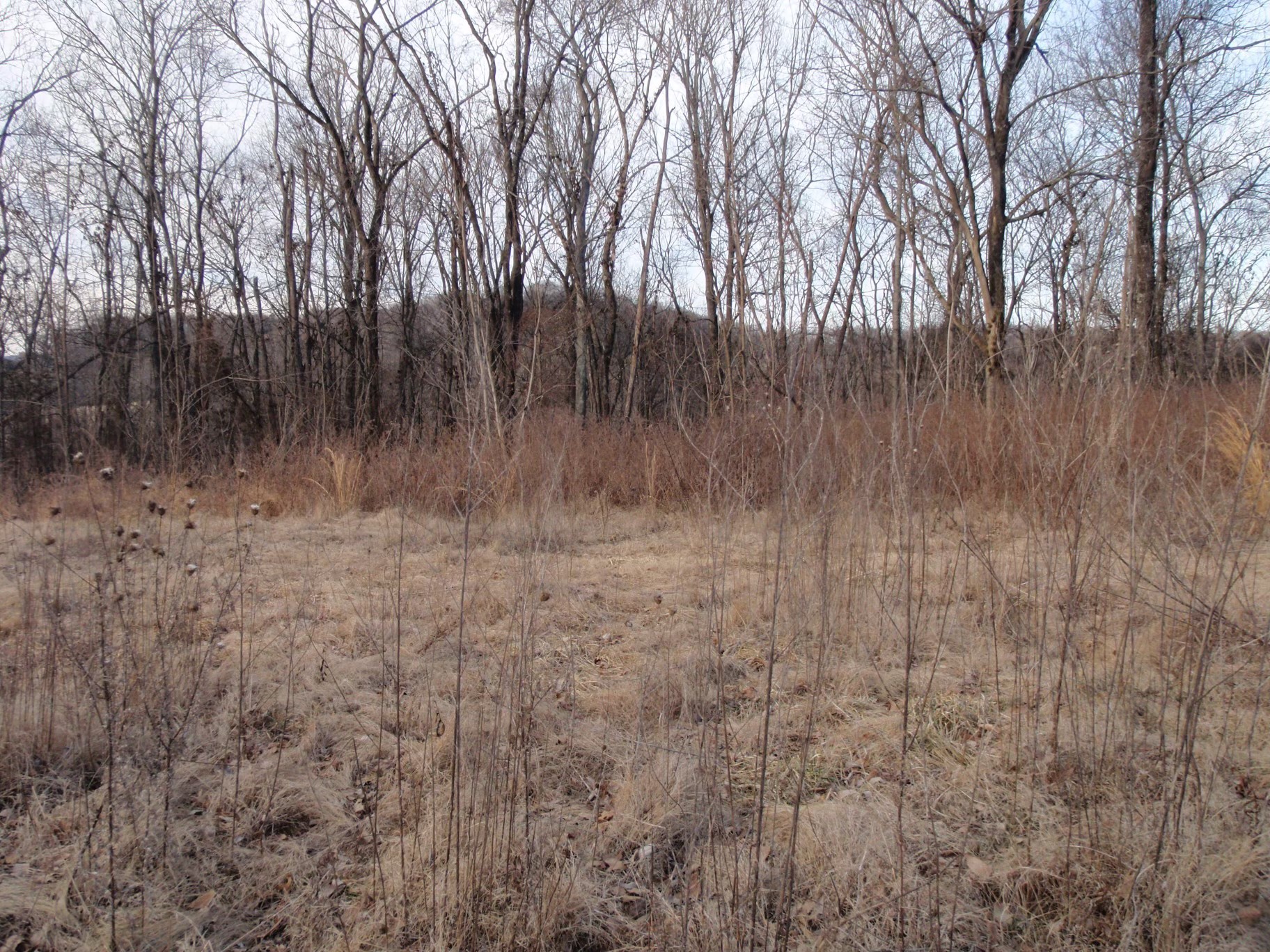 0 Toll Dugger Rd Property Photo 36