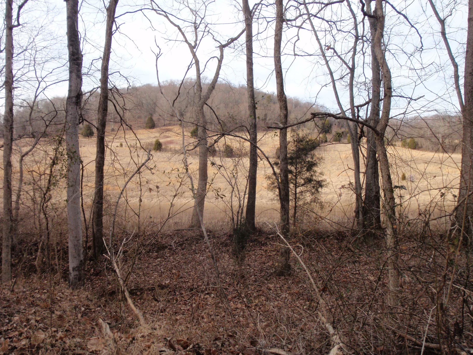 0 Toll Dugger Rd Property Photo 37