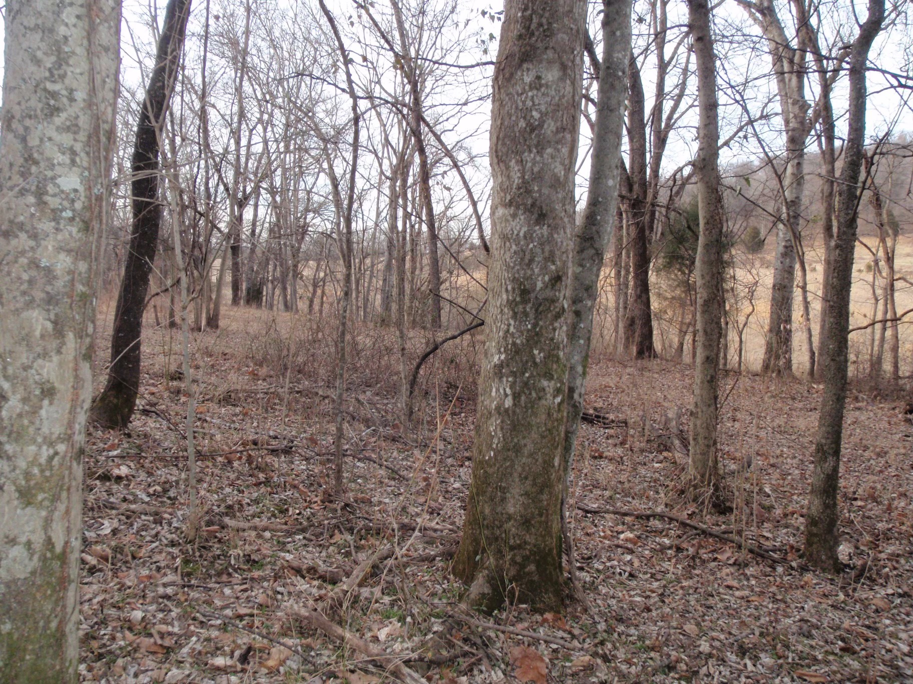 0 Toll Dugger Rd Property Photo 38