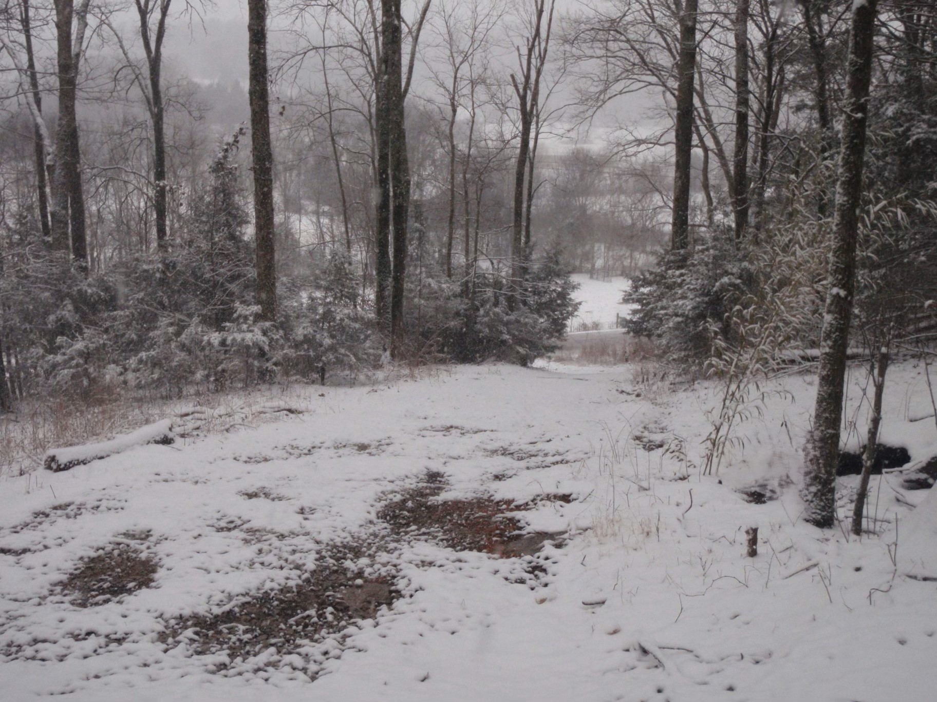 0 Toll Dugger Rd Property Photo 48