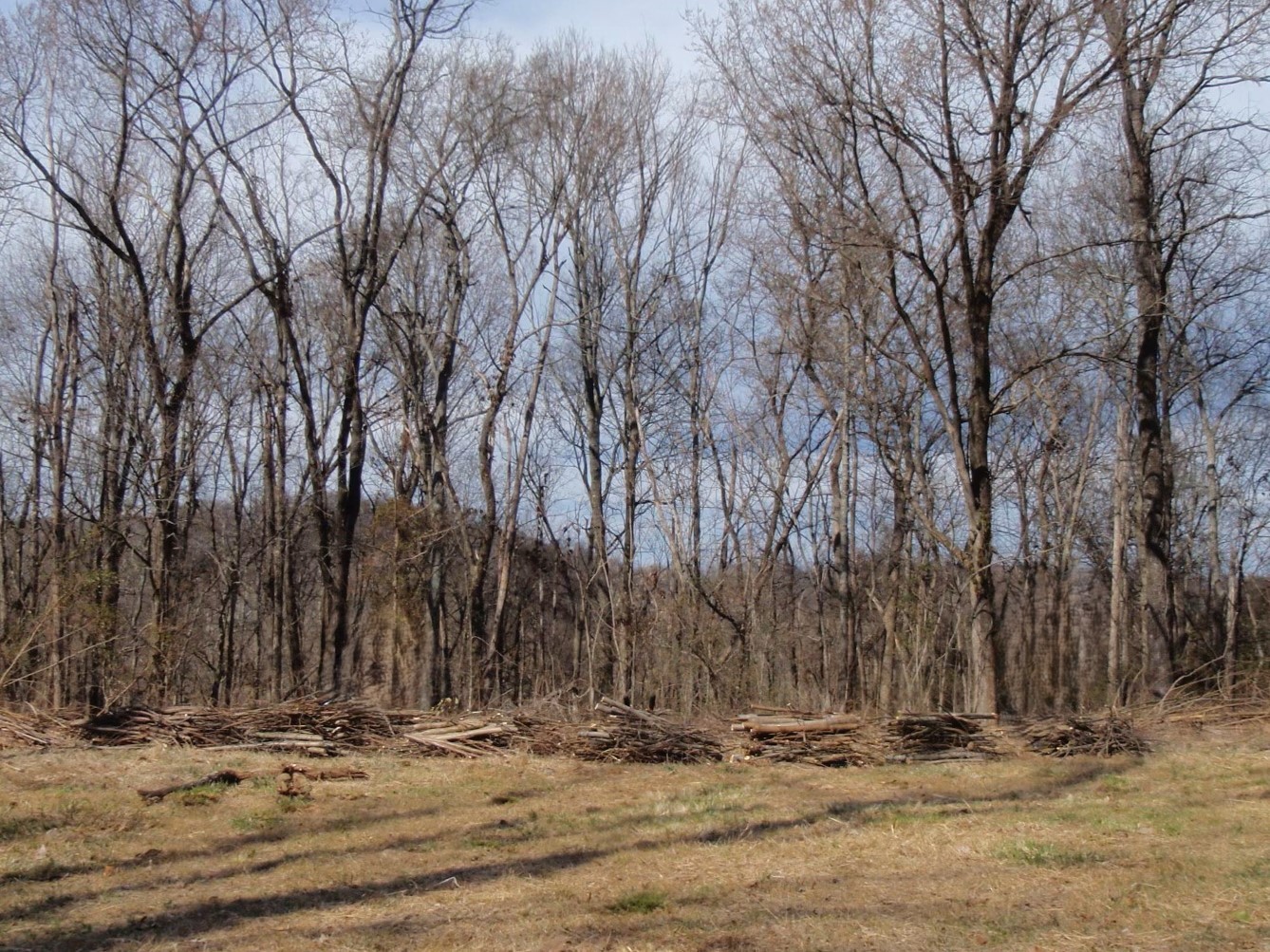 0 Toll Dugger Rd Property Photo 50