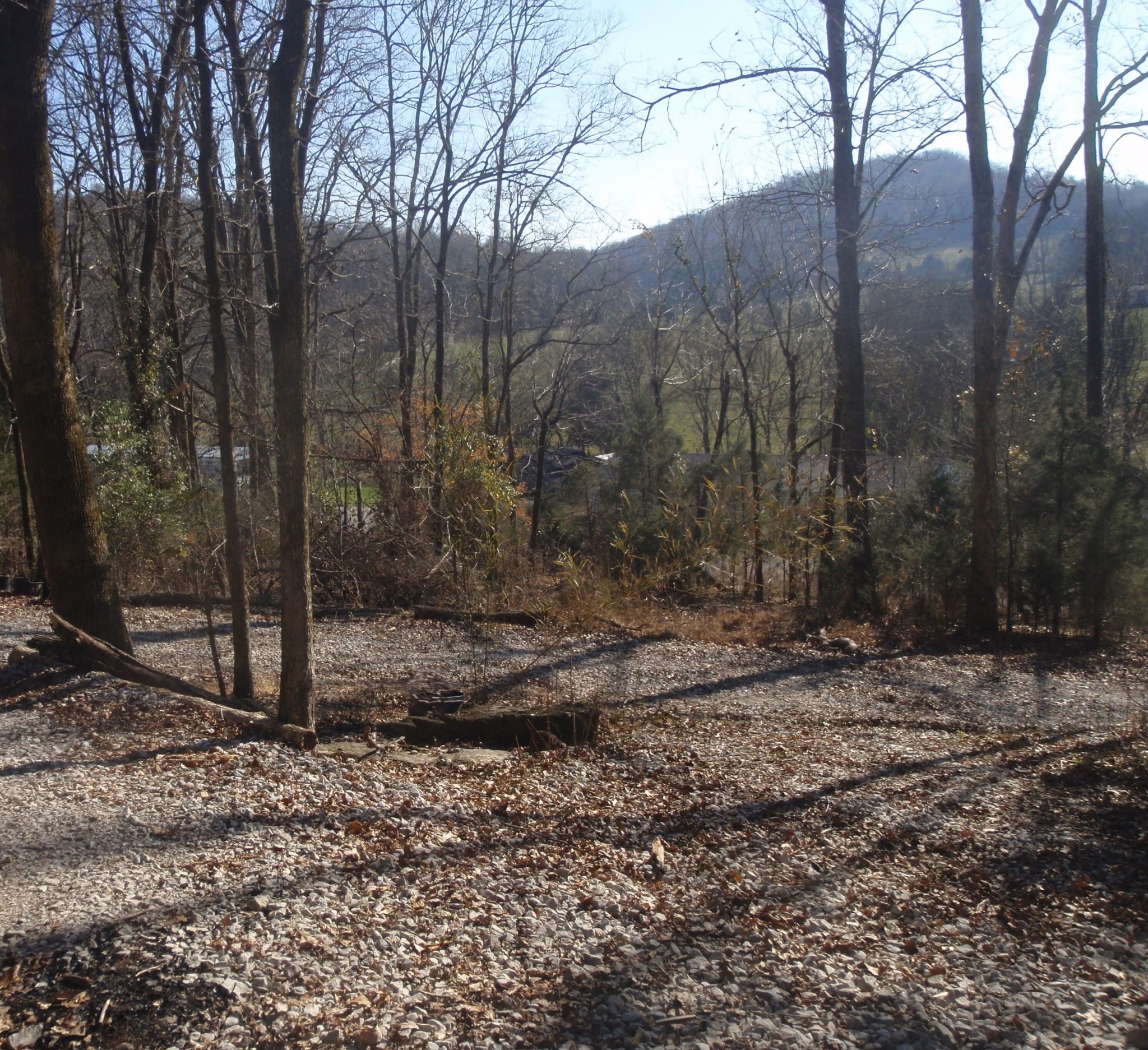 0 Toll Dugger Rd Property Photo 51